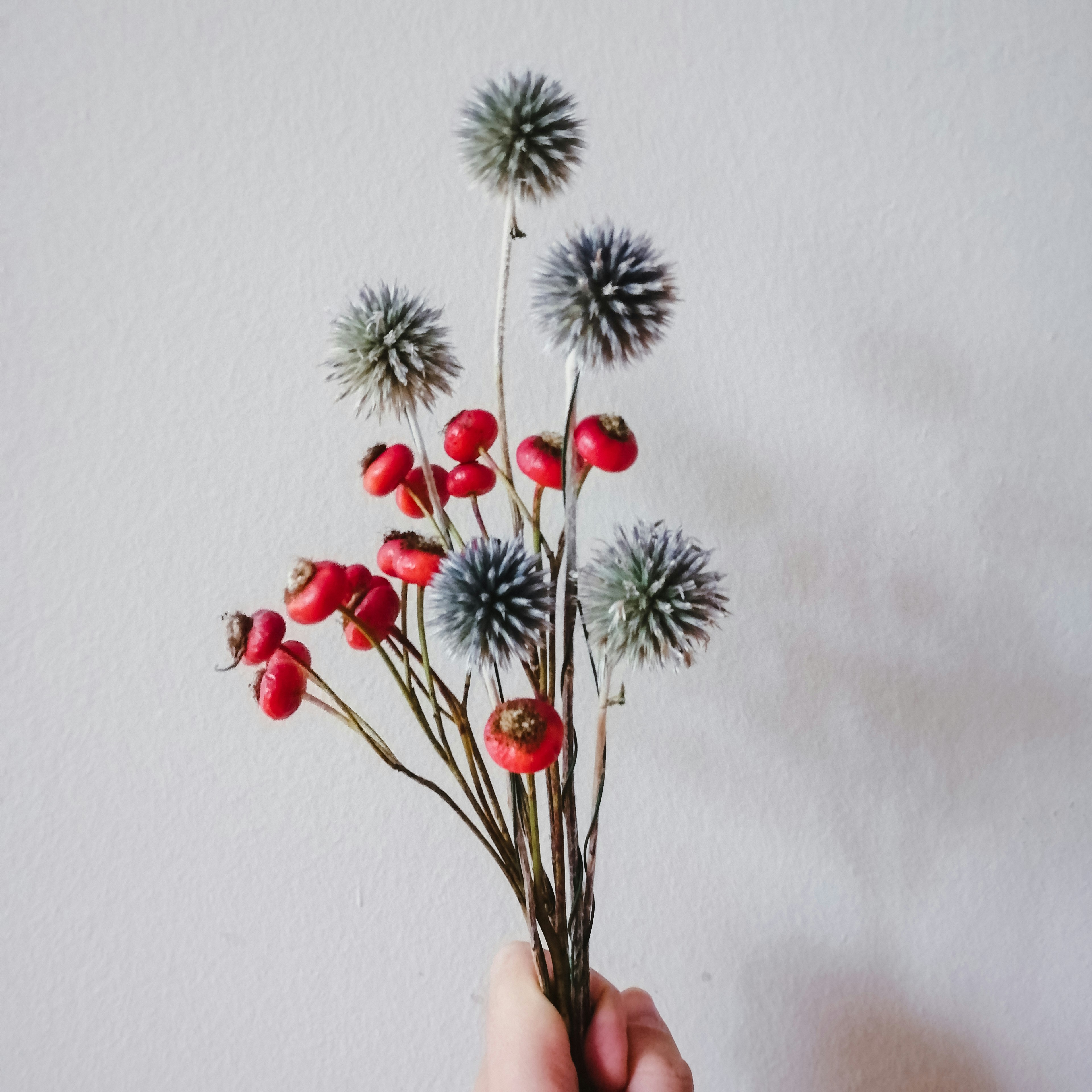 Photo by giulialosafiori