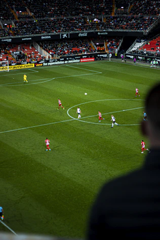 a group of people on a field playing soccer