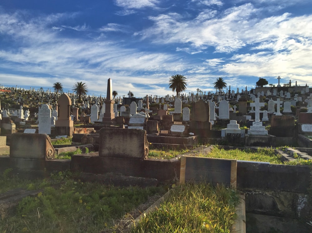 a cemetery with many headstones and palm trees