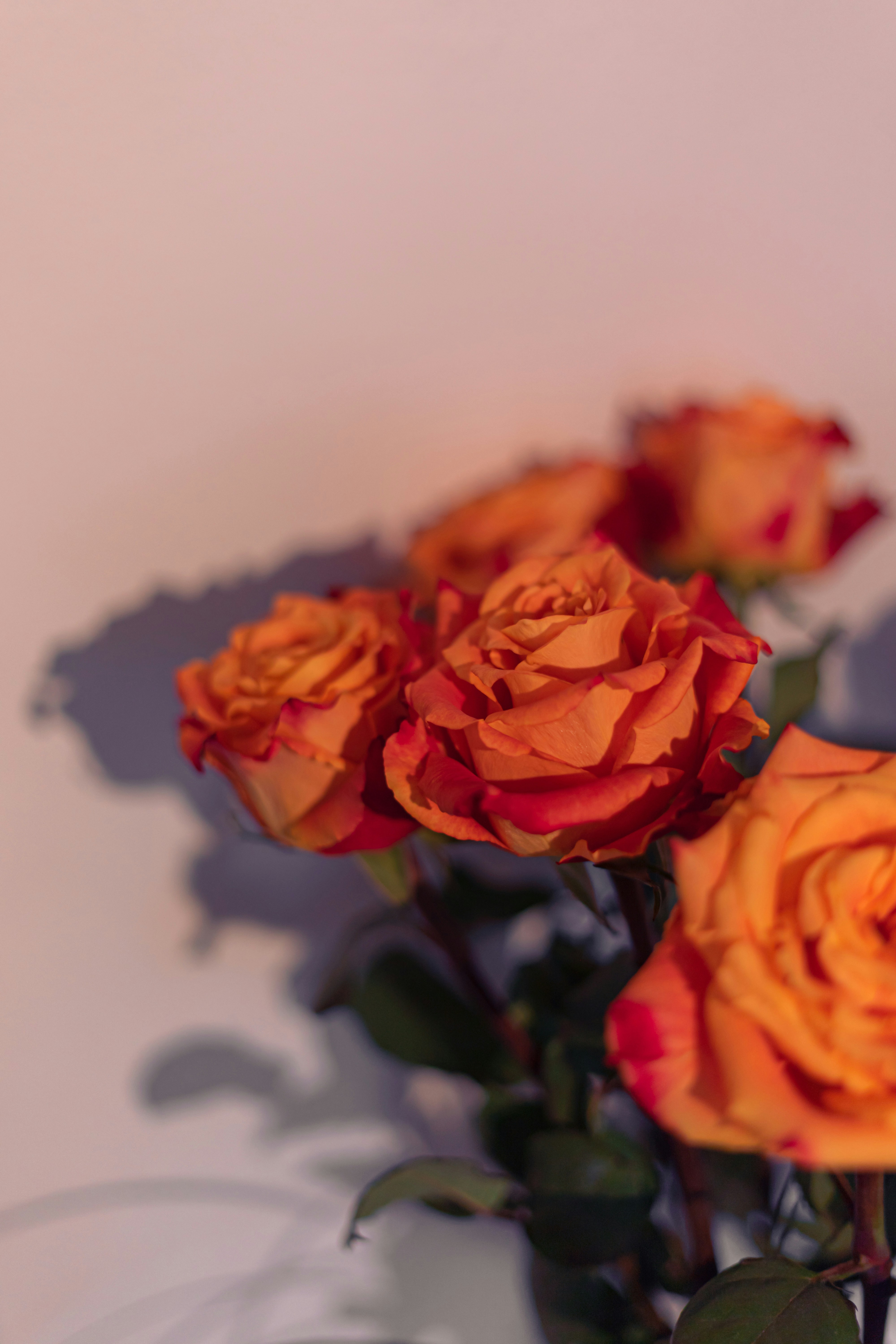 Photo by virussinside