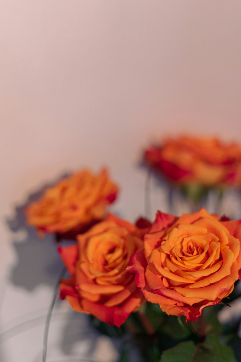 un vase rempli de roses orange sur le dessus d’une table