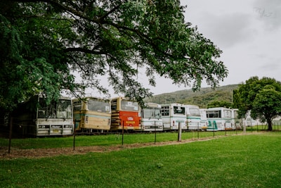a row of buses parked next to each other on a lush green field
