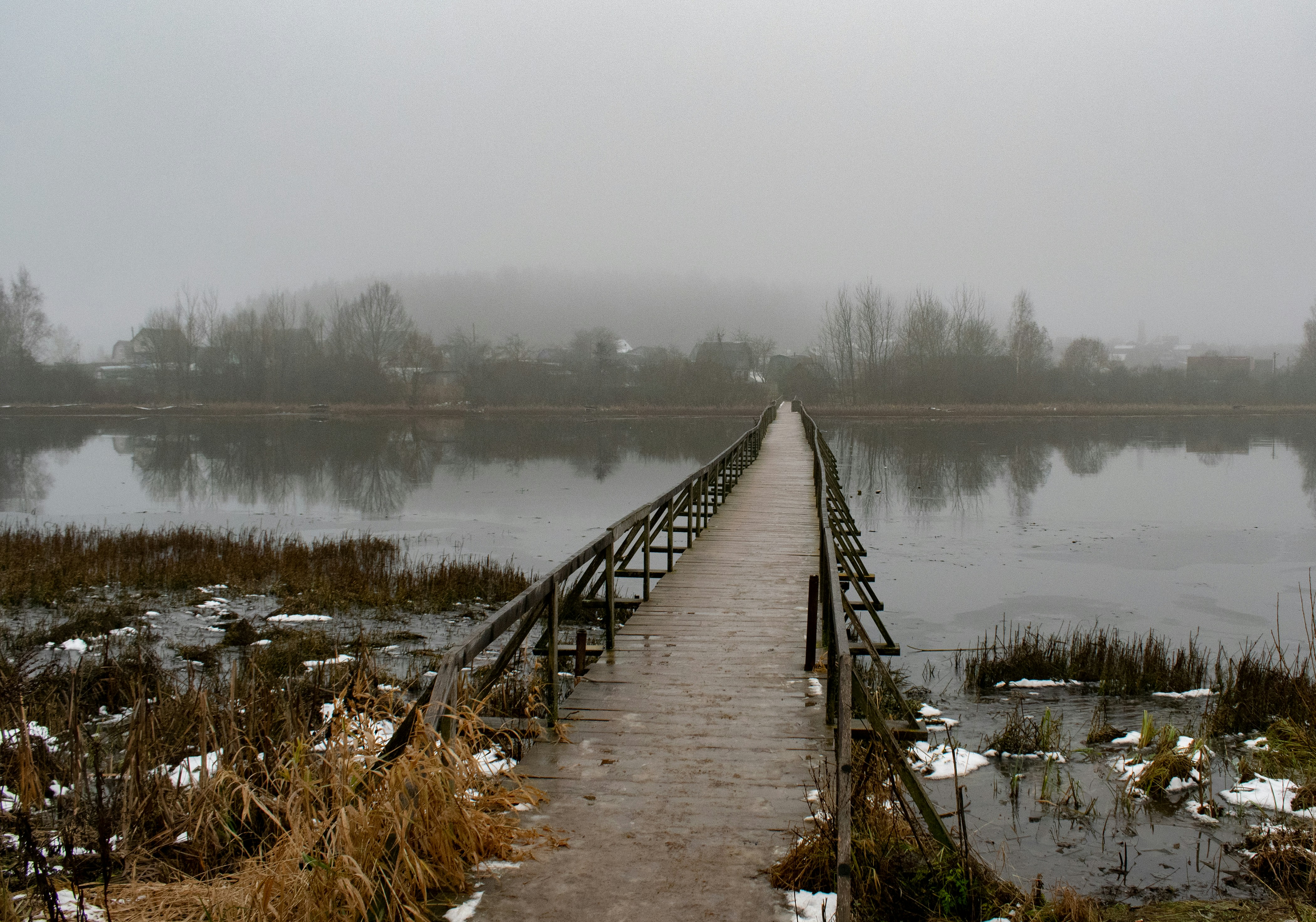 Photo by anastasiya_dal