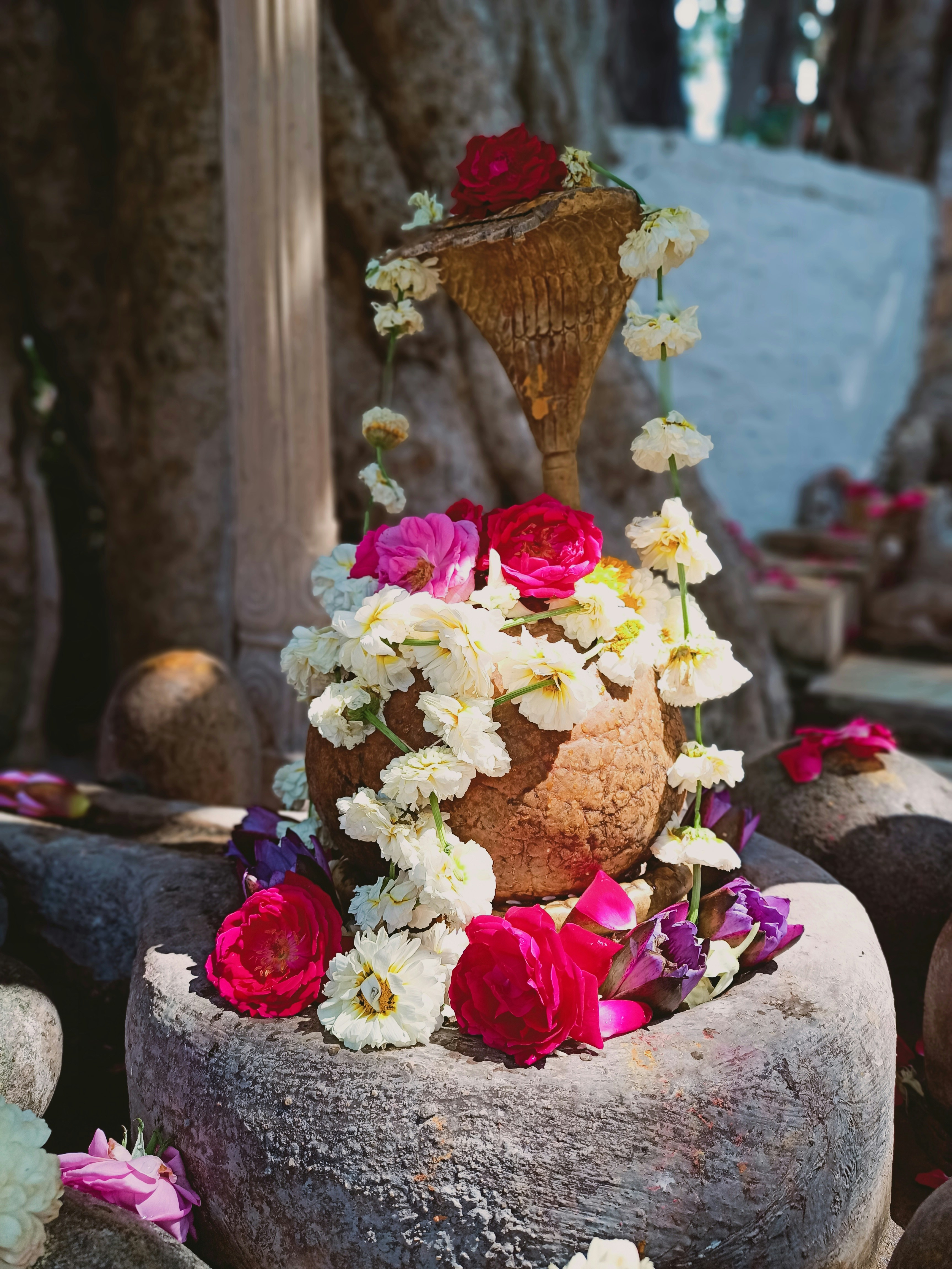 Photo by manojmeghwal