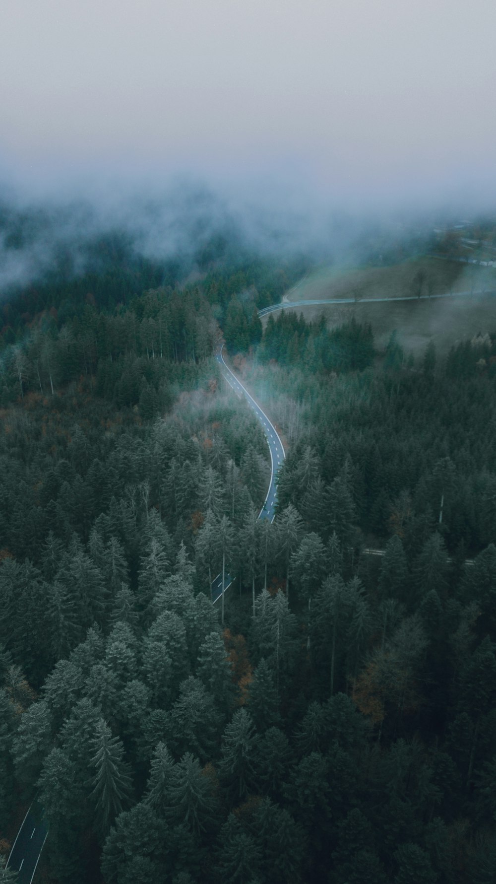 a winding road in the middle of a forest