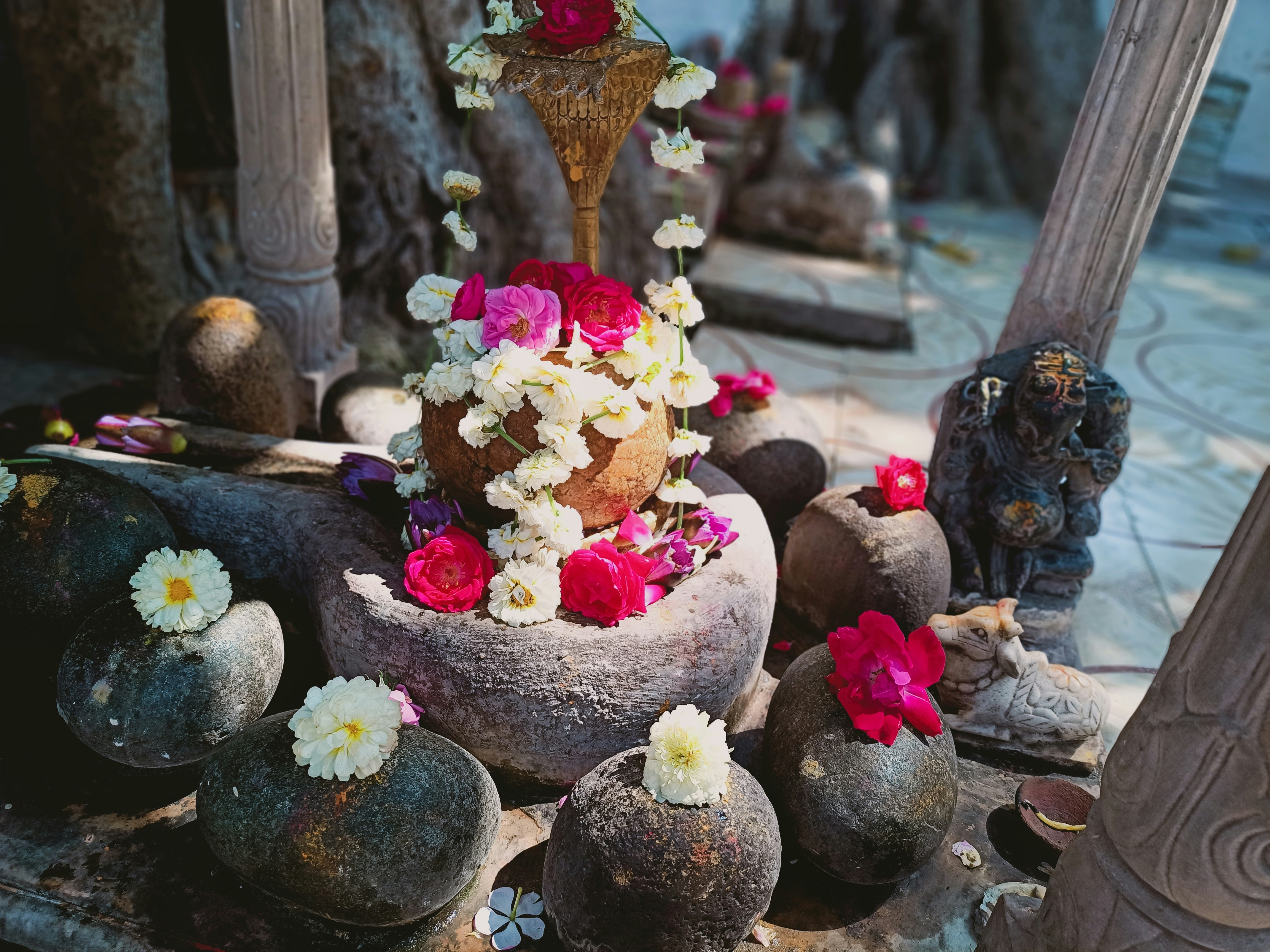 Photo by manojmeghwal