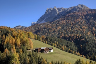 A cozy mountain cabin surrounded by colorful autumn leaves under a clear blue sky.