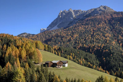A cozy mountain cabin surrounded by autumn trees under a clear blue sky.