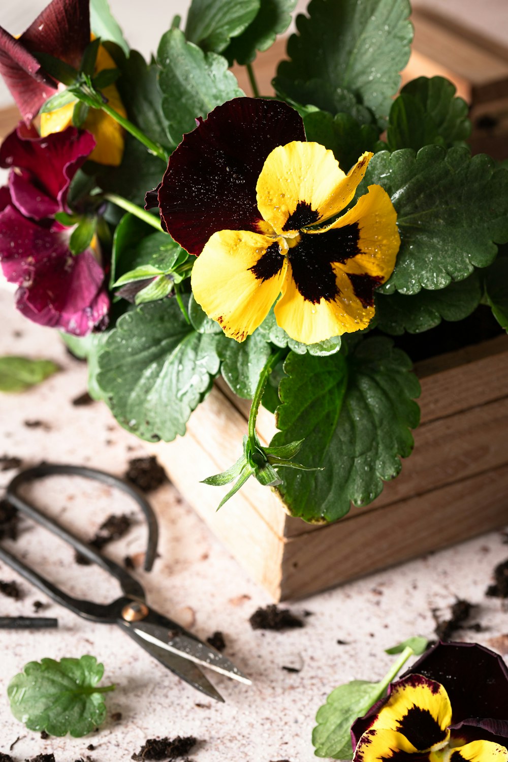 a bunch of flowers that are sitting on a table