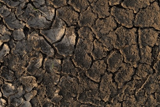 a close up of a dirt field with small rocks
