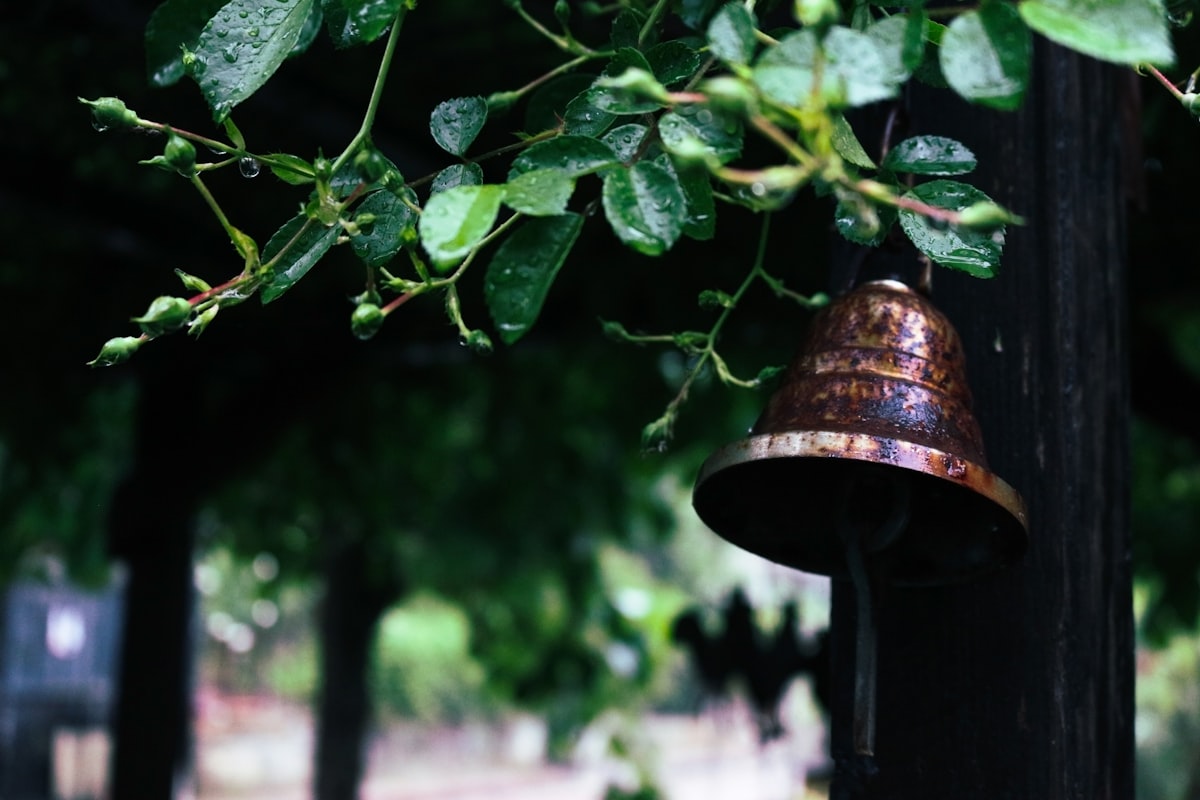 Create A Calming Atmosphere With These Best Rain Chimes!