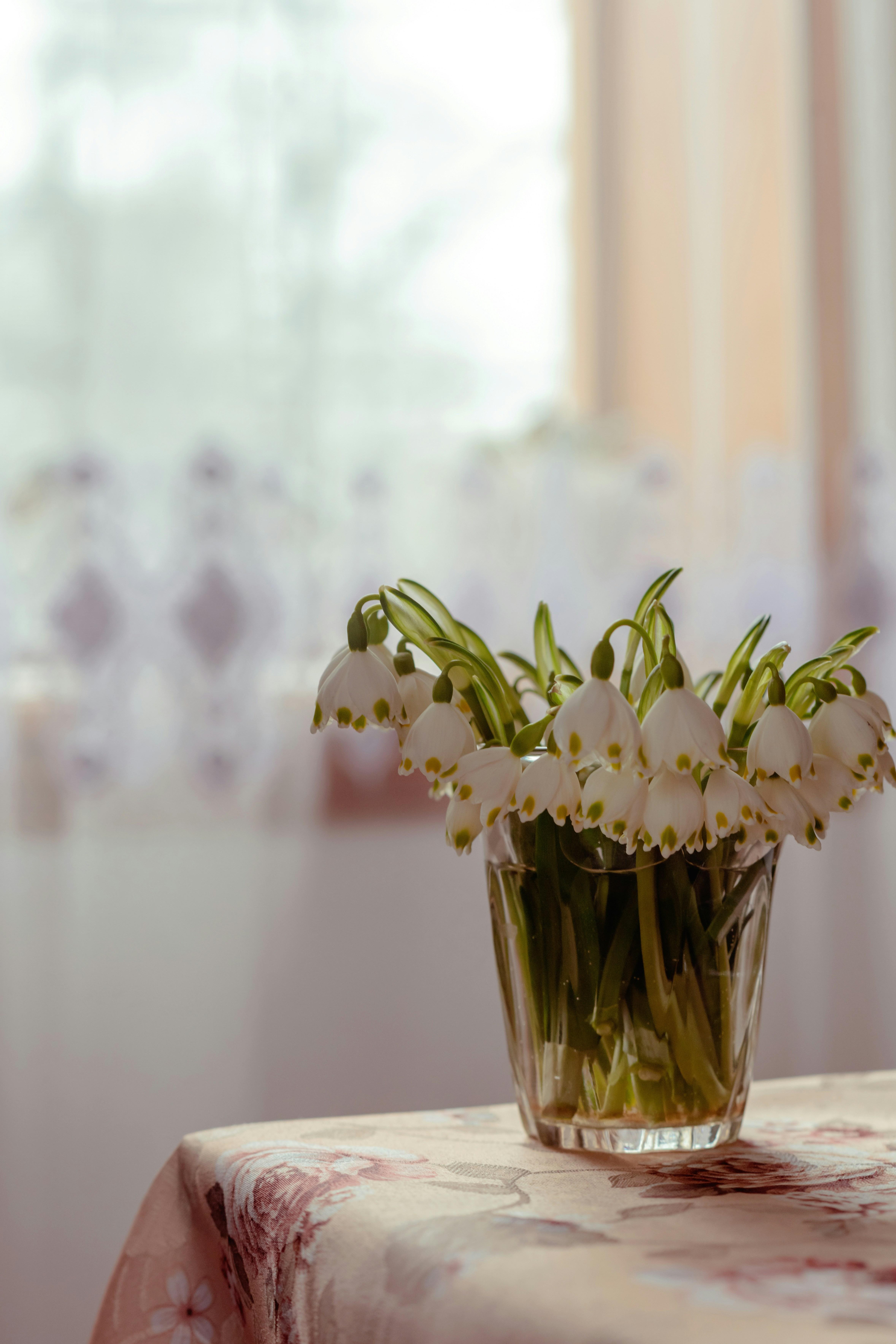 Photo by eugenivy_now