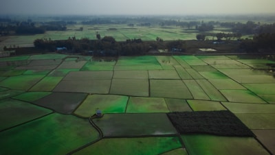Aerial view of green land plots under clear skies.