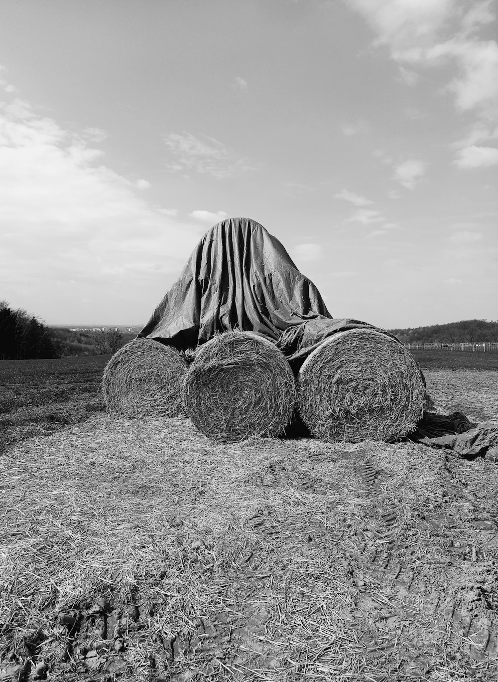 a black and white photo of hay bales in a field