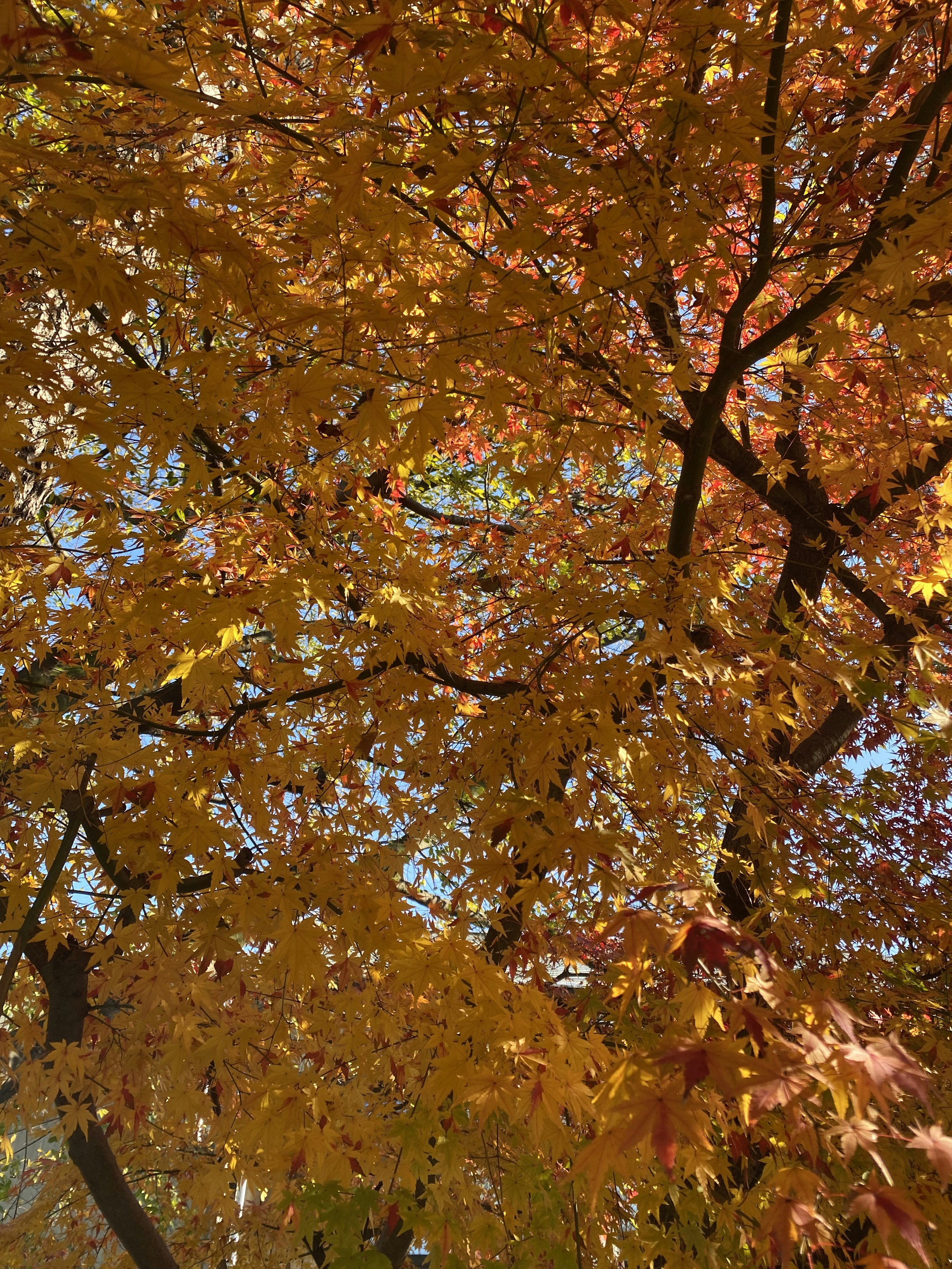 Photo by a____mundane