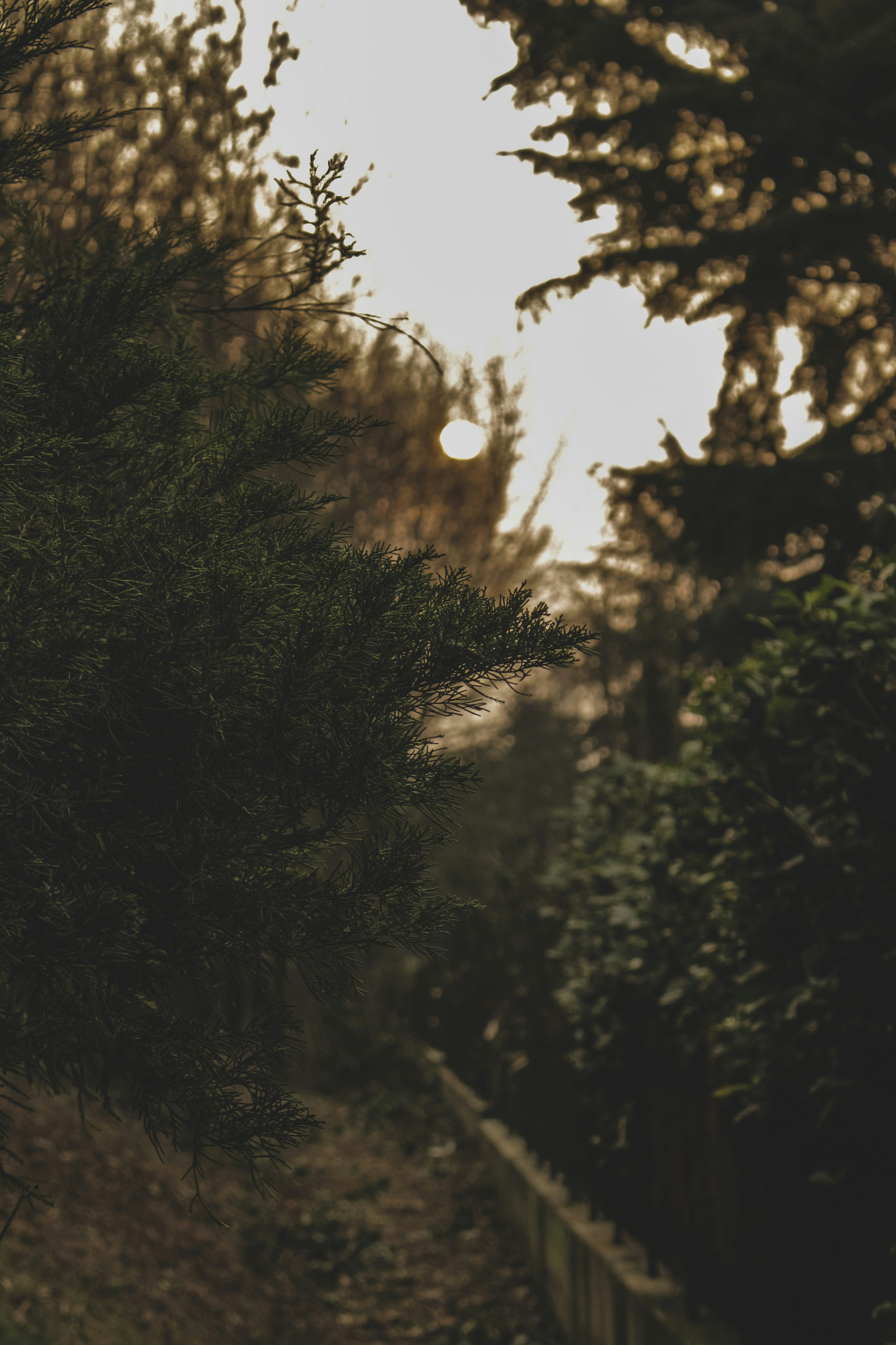 Photo by diego__damato