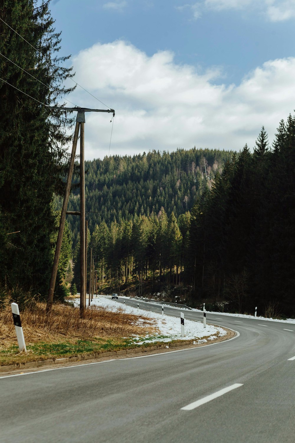 an empty road in the middle of a forest