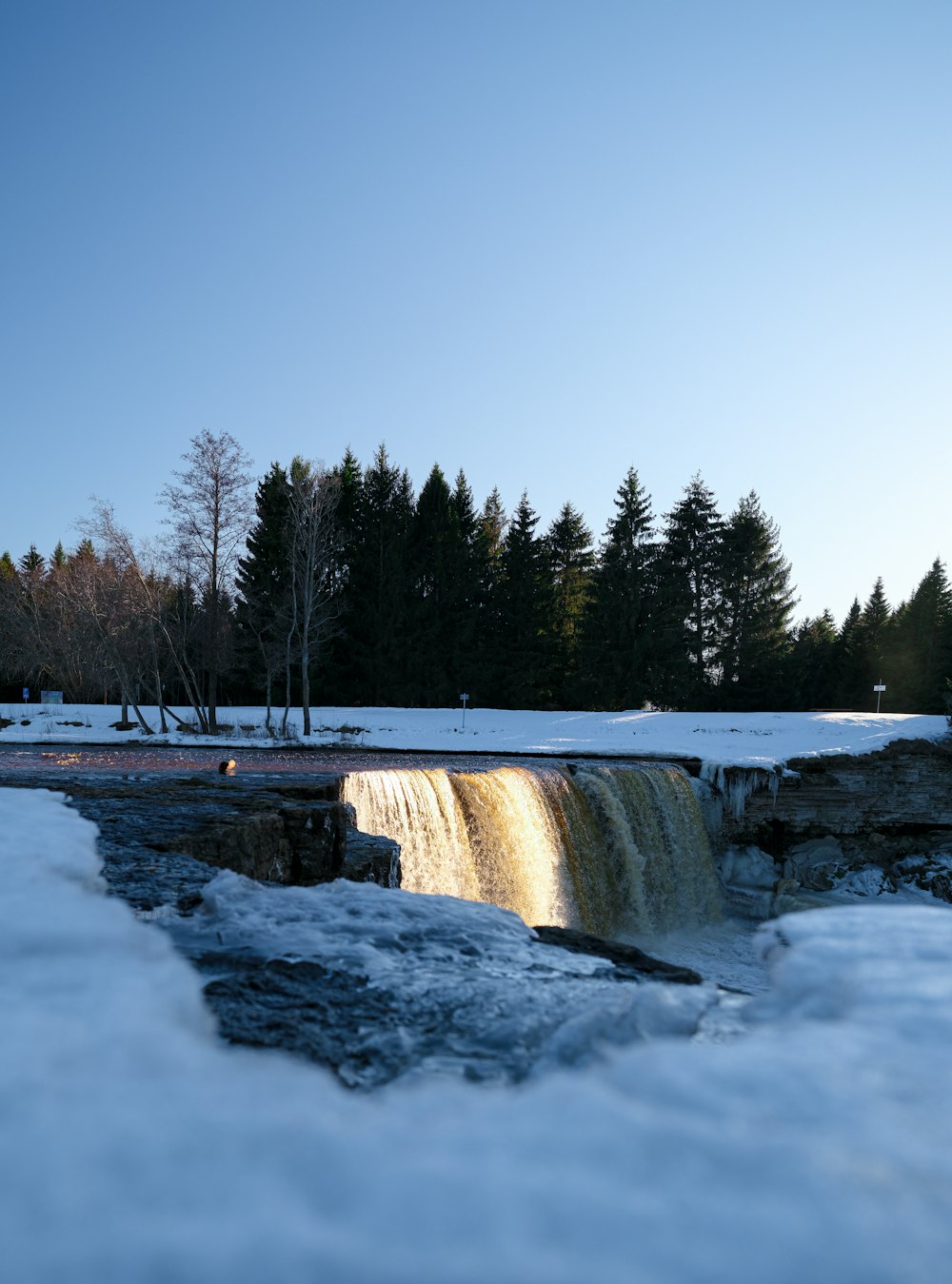 a frozen waterfall in the middle of a forest