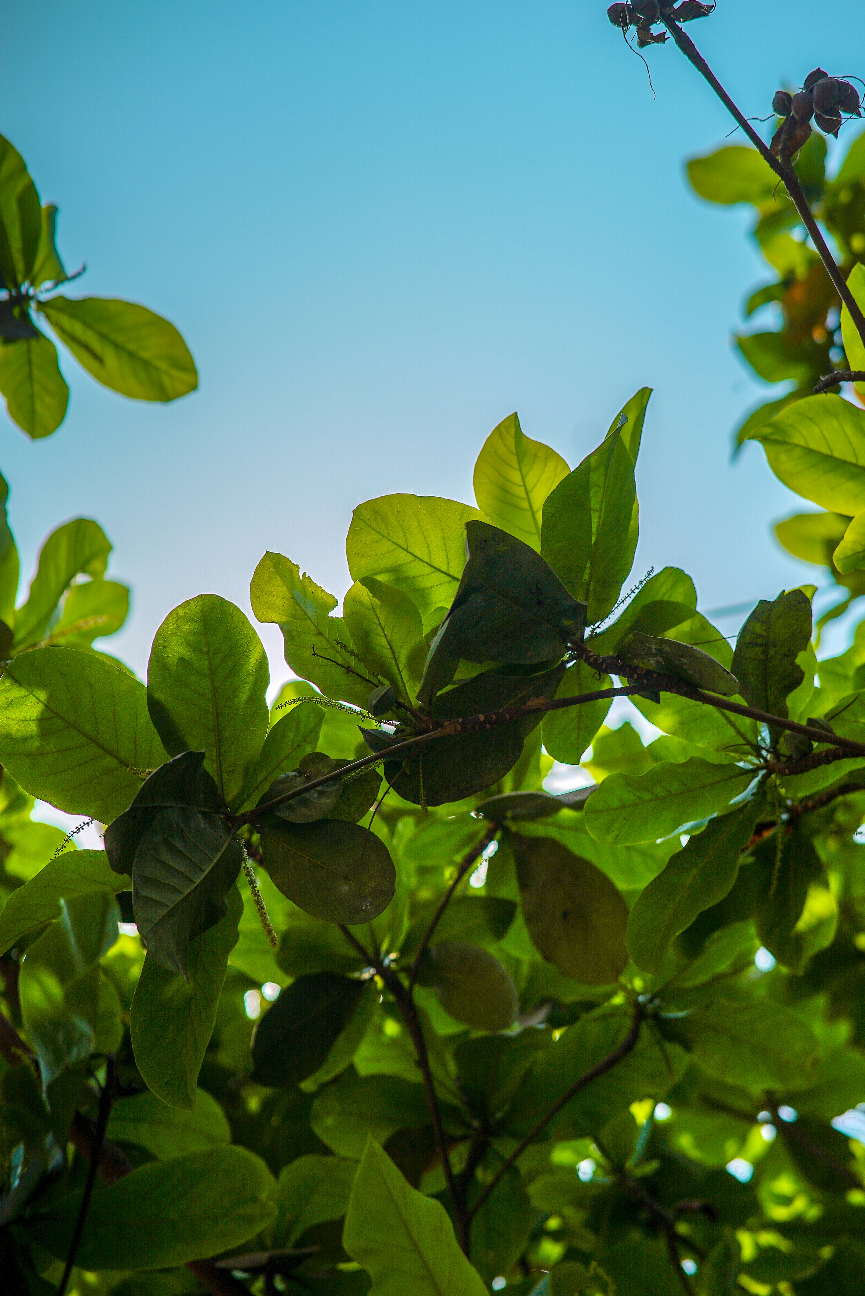 Photo by mohitpathak