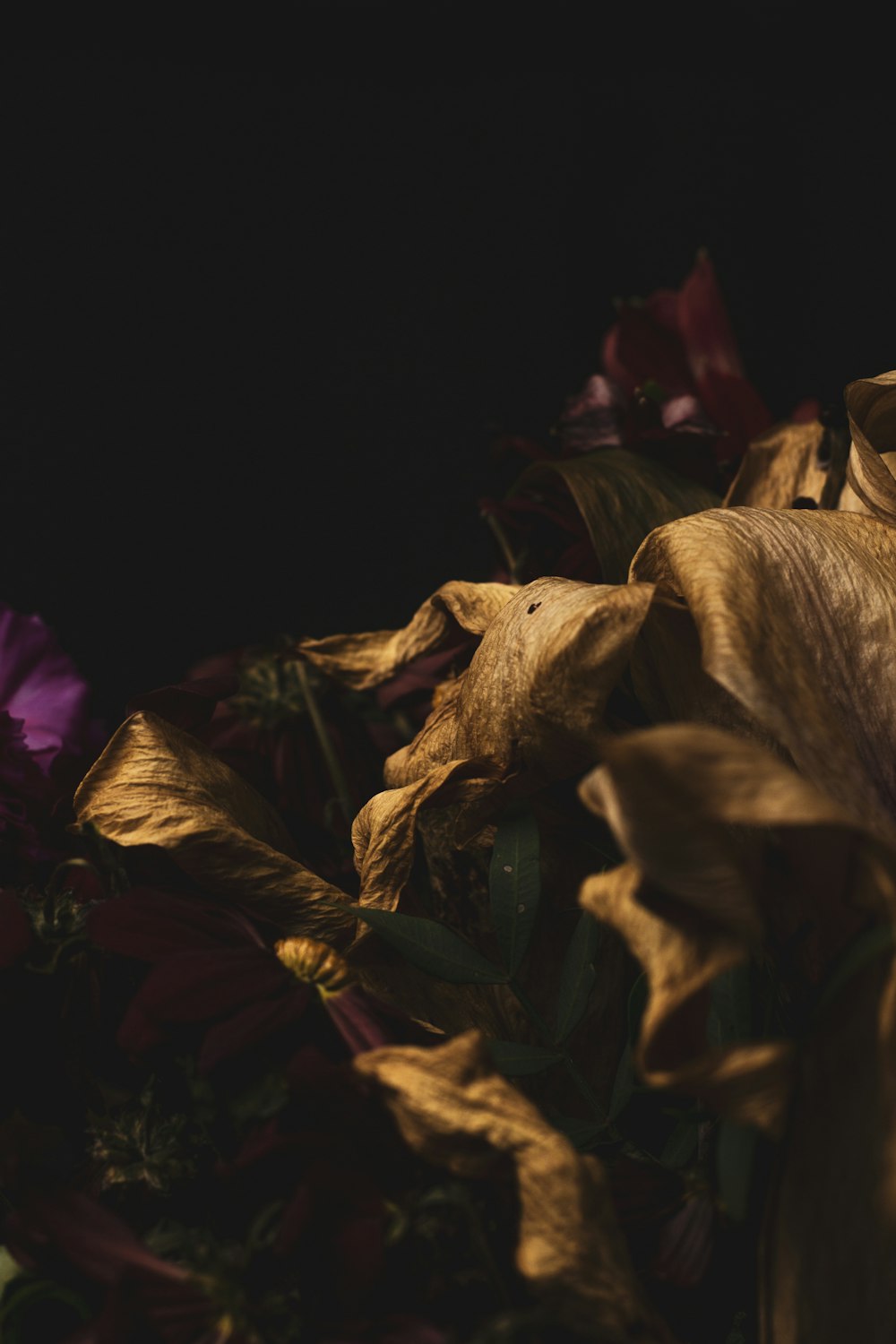 a bunch of dead flowers on a black background