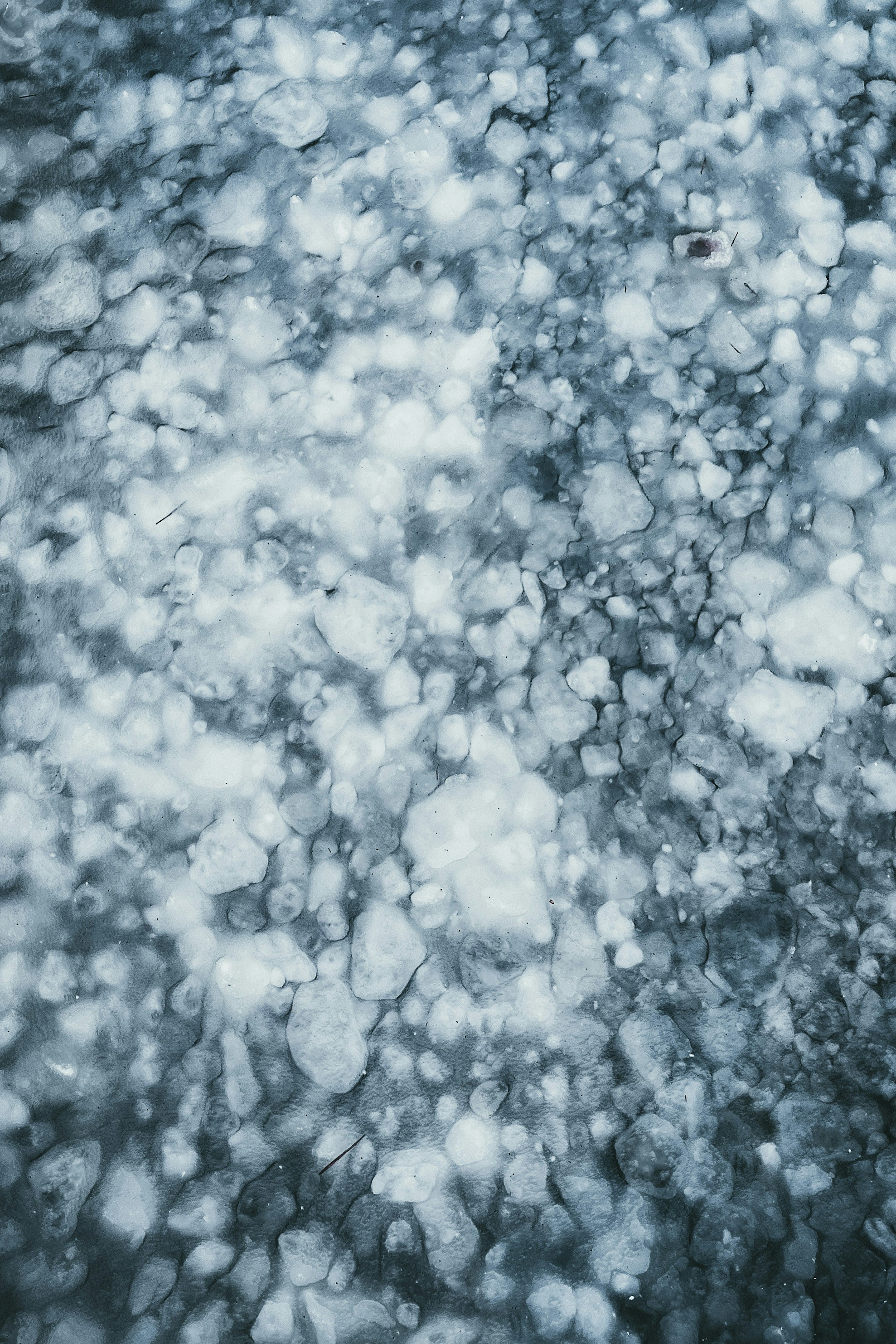 Photo by theshuttervision