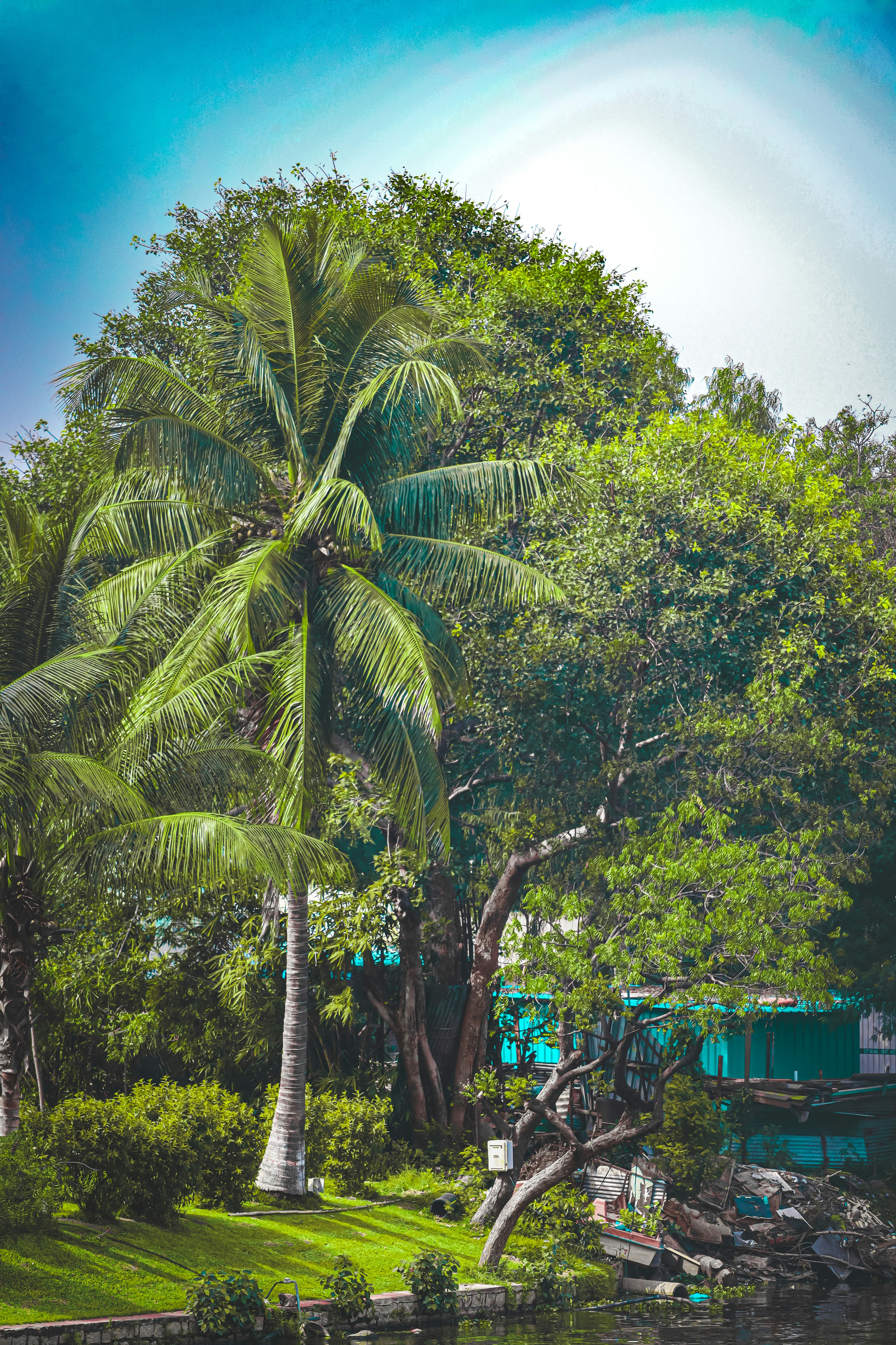 Photo by bharath_147