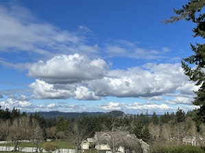 A serene Romanian forest landscape with a small communal farmland in the foreground under a clear blue sky.