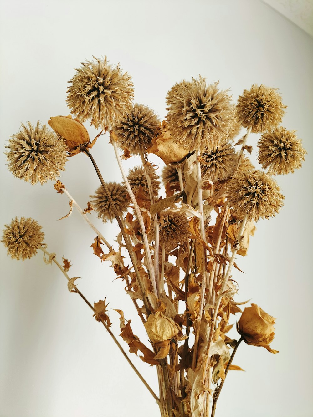 a vase filled with dried flowers on top of a table