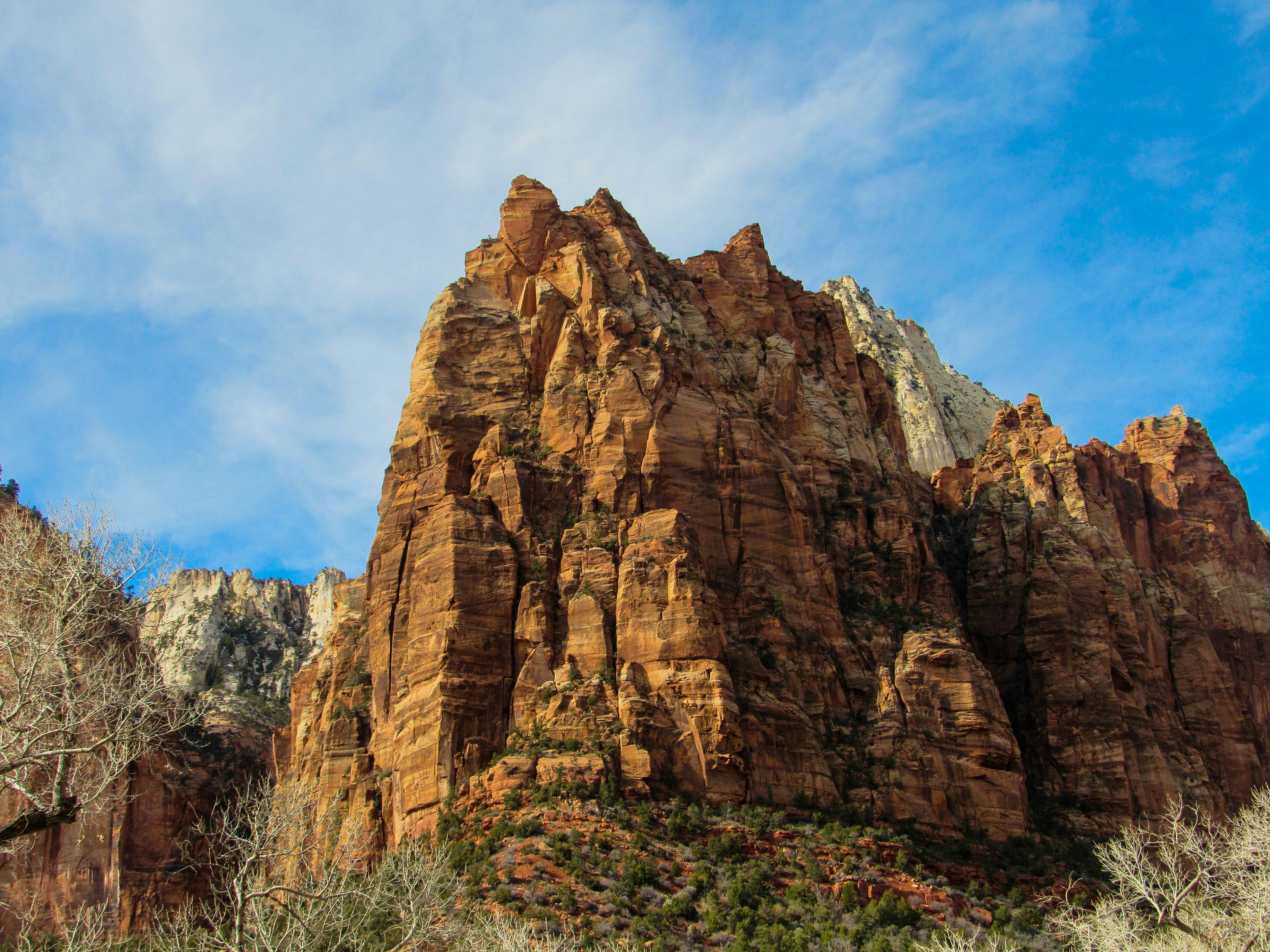 Photo by cjecholsfit