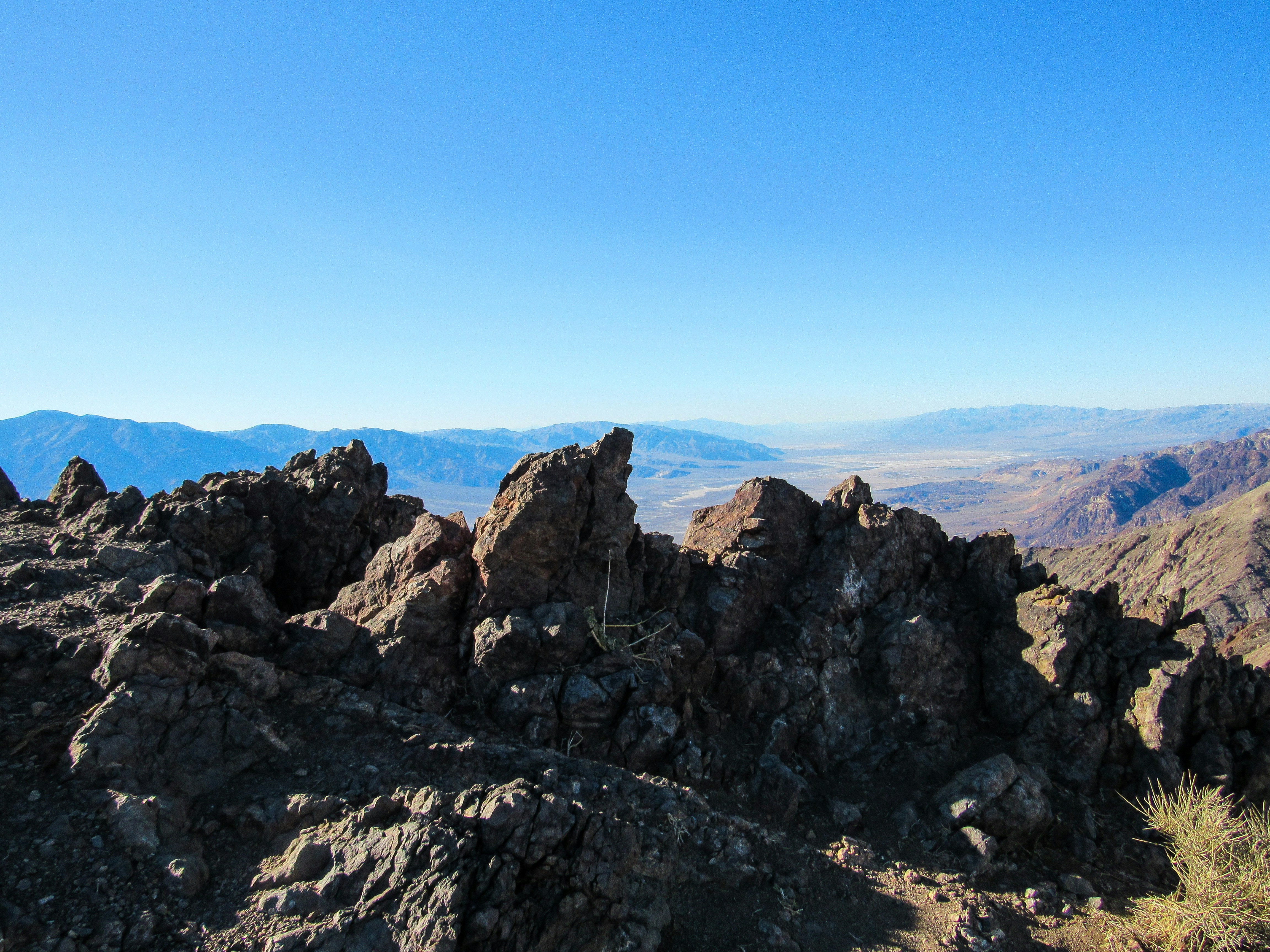 Photo by cjecholsfit