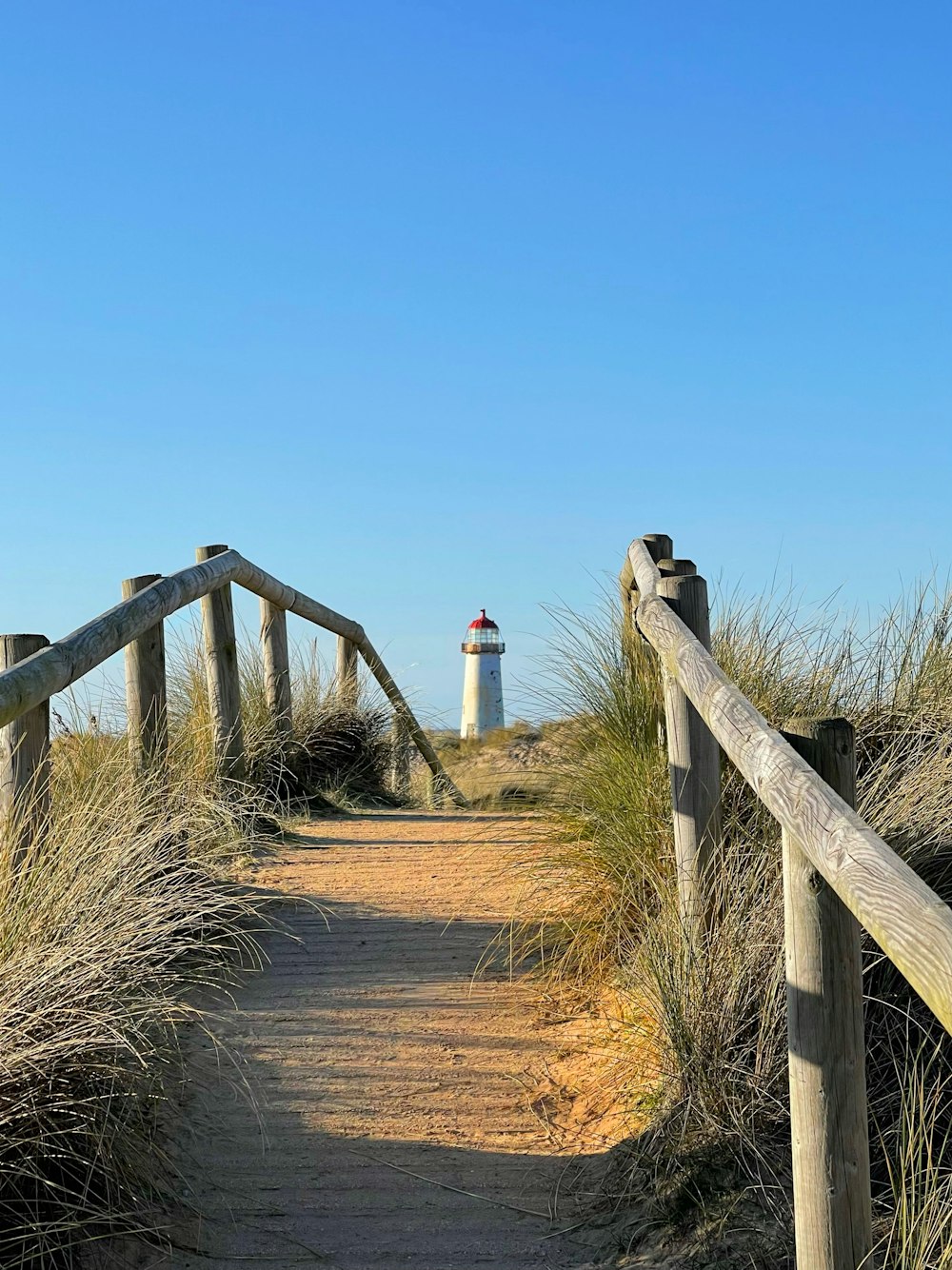 a path leading to a lighthouse on a sunny day