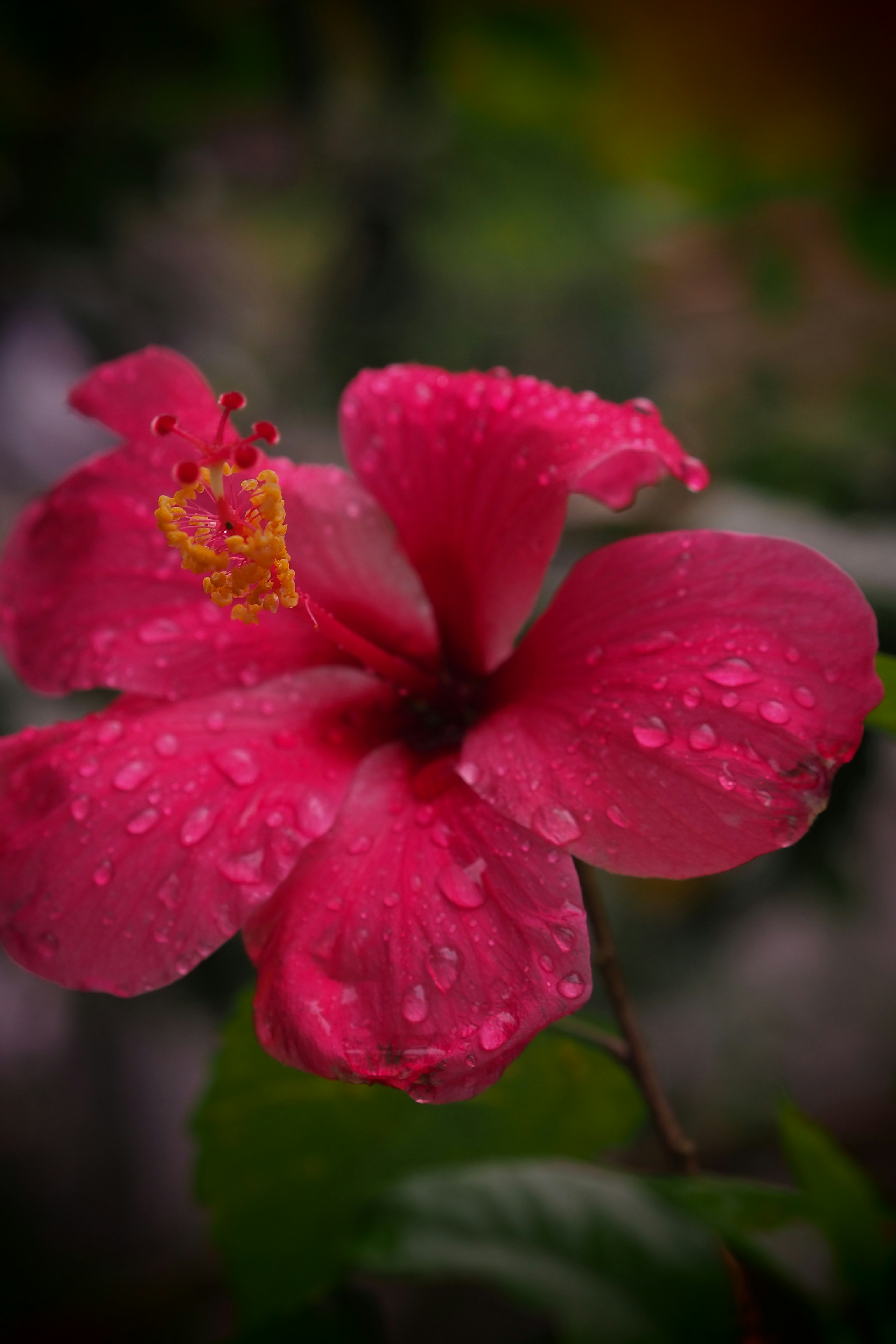 Photo by adam_mushii