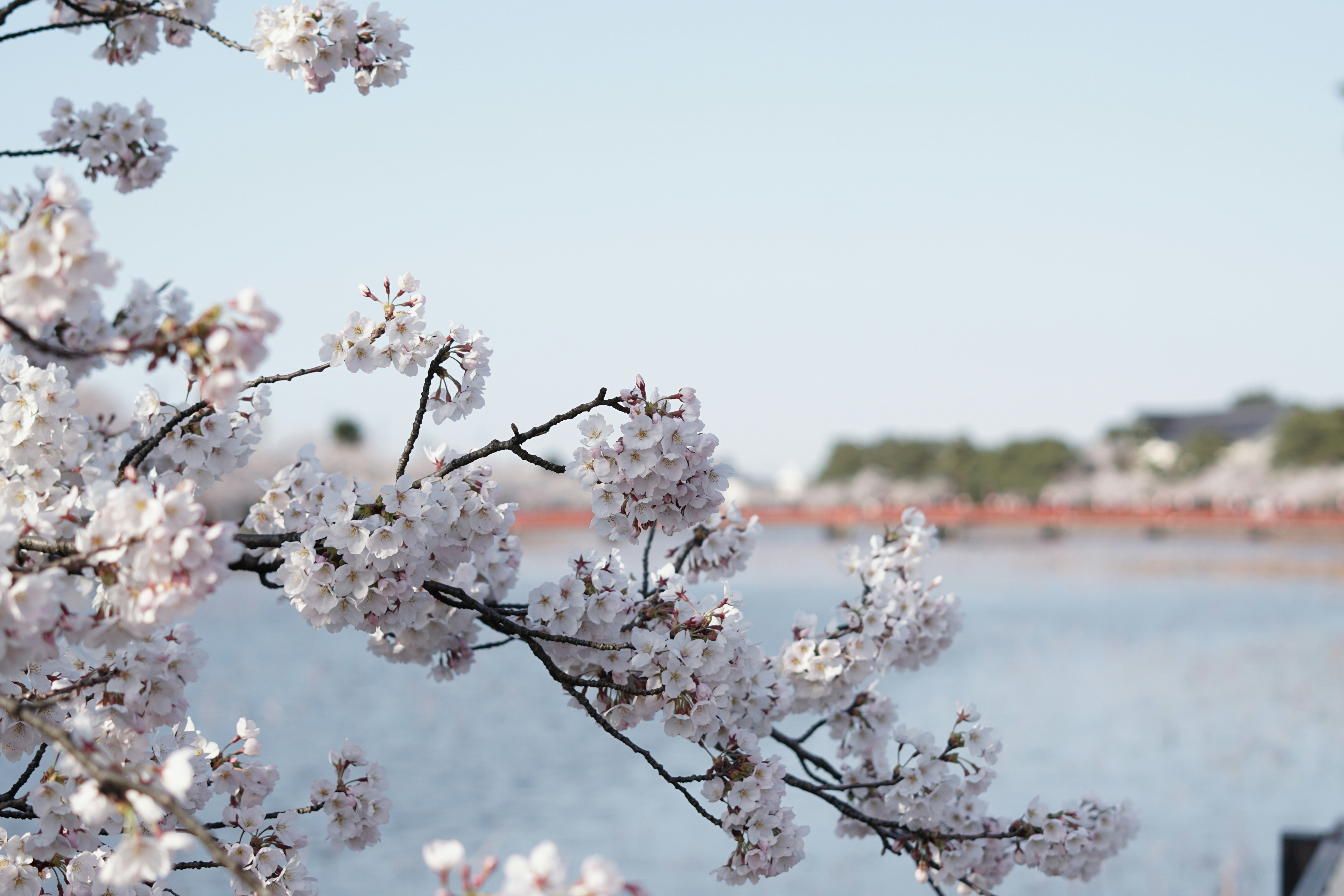 Photo by paulinevezelle