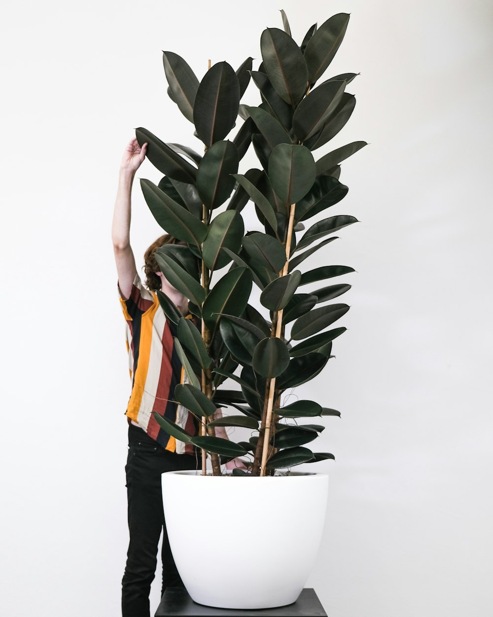 a vase of flowers on a plant