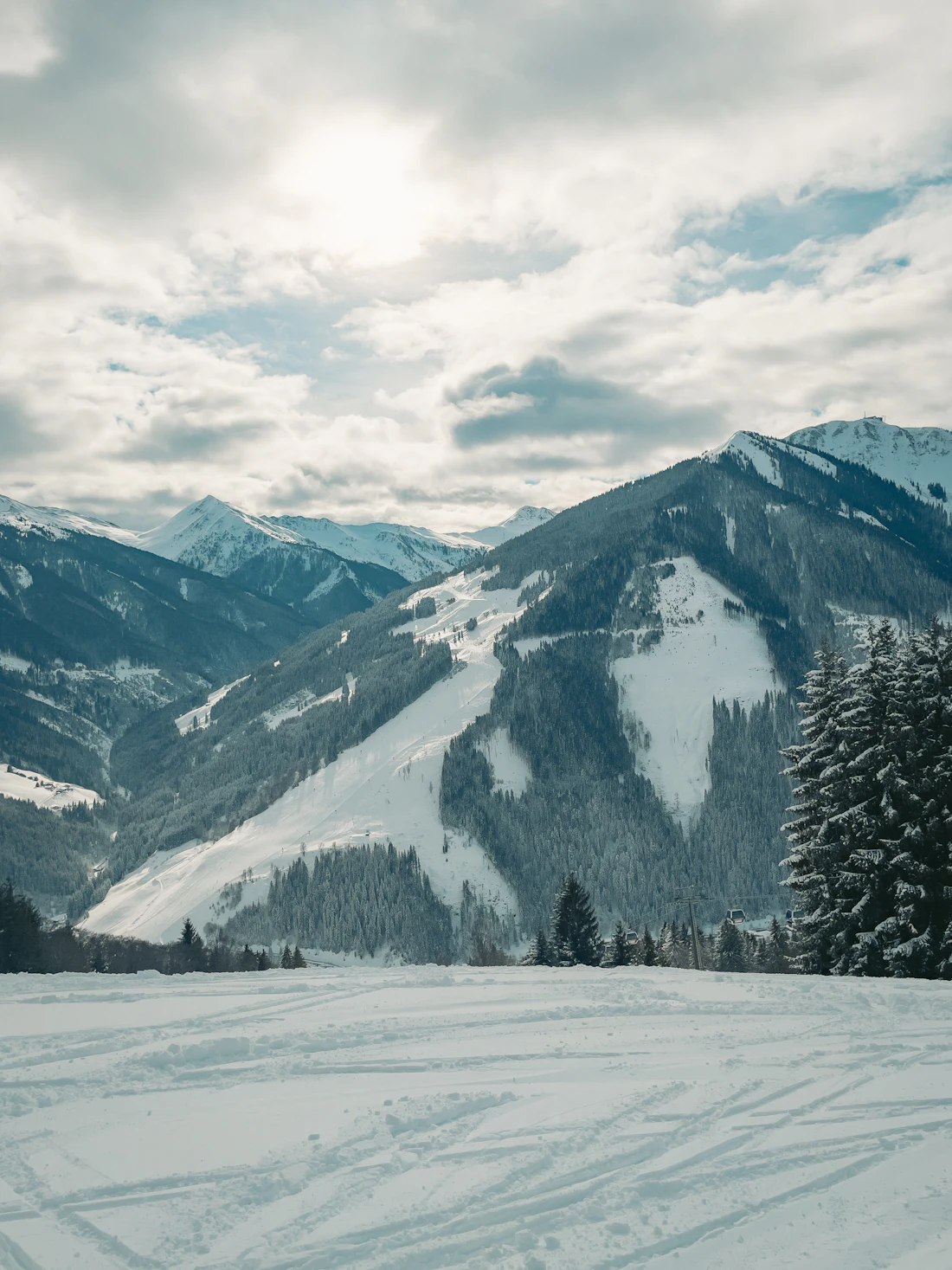 Besneeuwde skipiste met bomen en bergen in Saalbach-Hinterglemm
