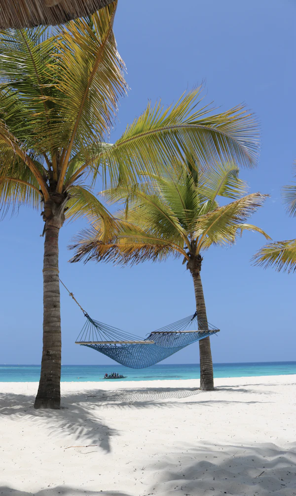Zanzibar, Tanzania photo 2