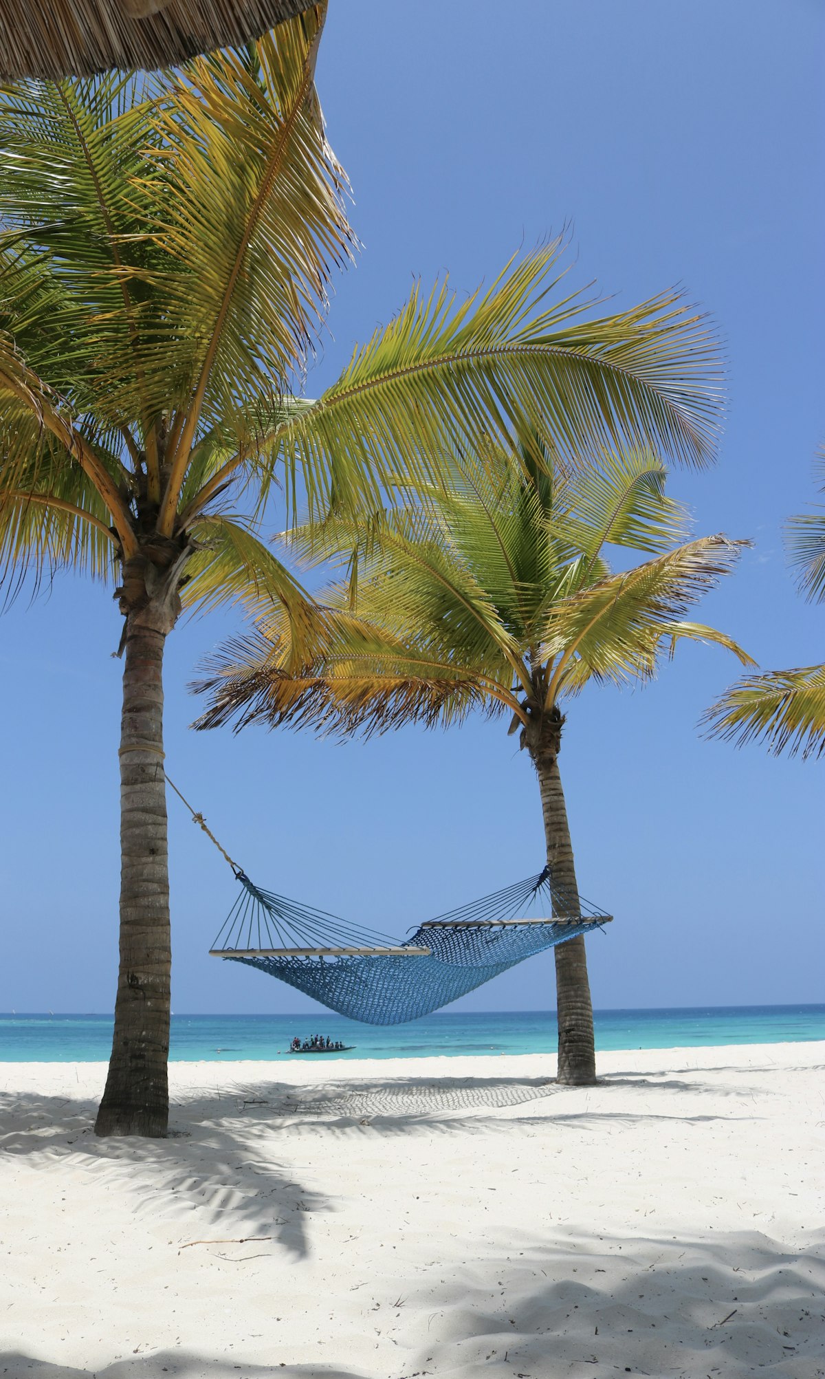 Zanzibar March — hammock between palm trees on a quiet Zanzibar beach before the rains arrive