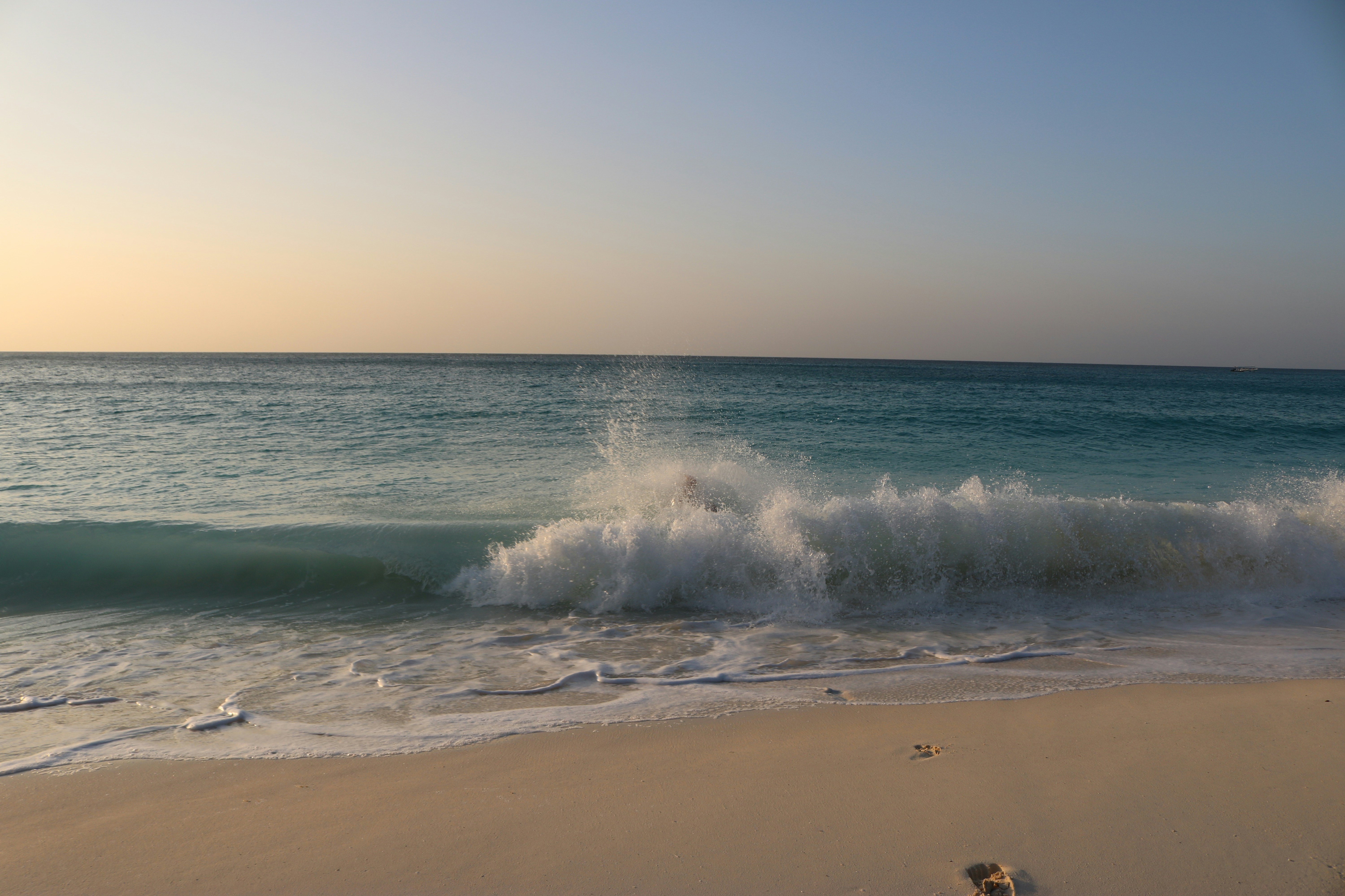 Photo by danaetsoutreli