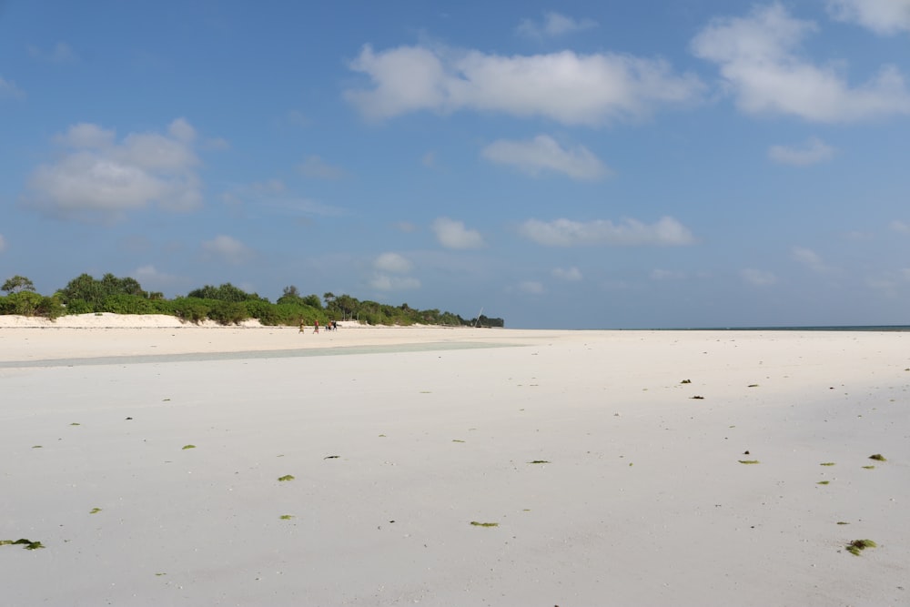 a sandy beach with trees in the distance