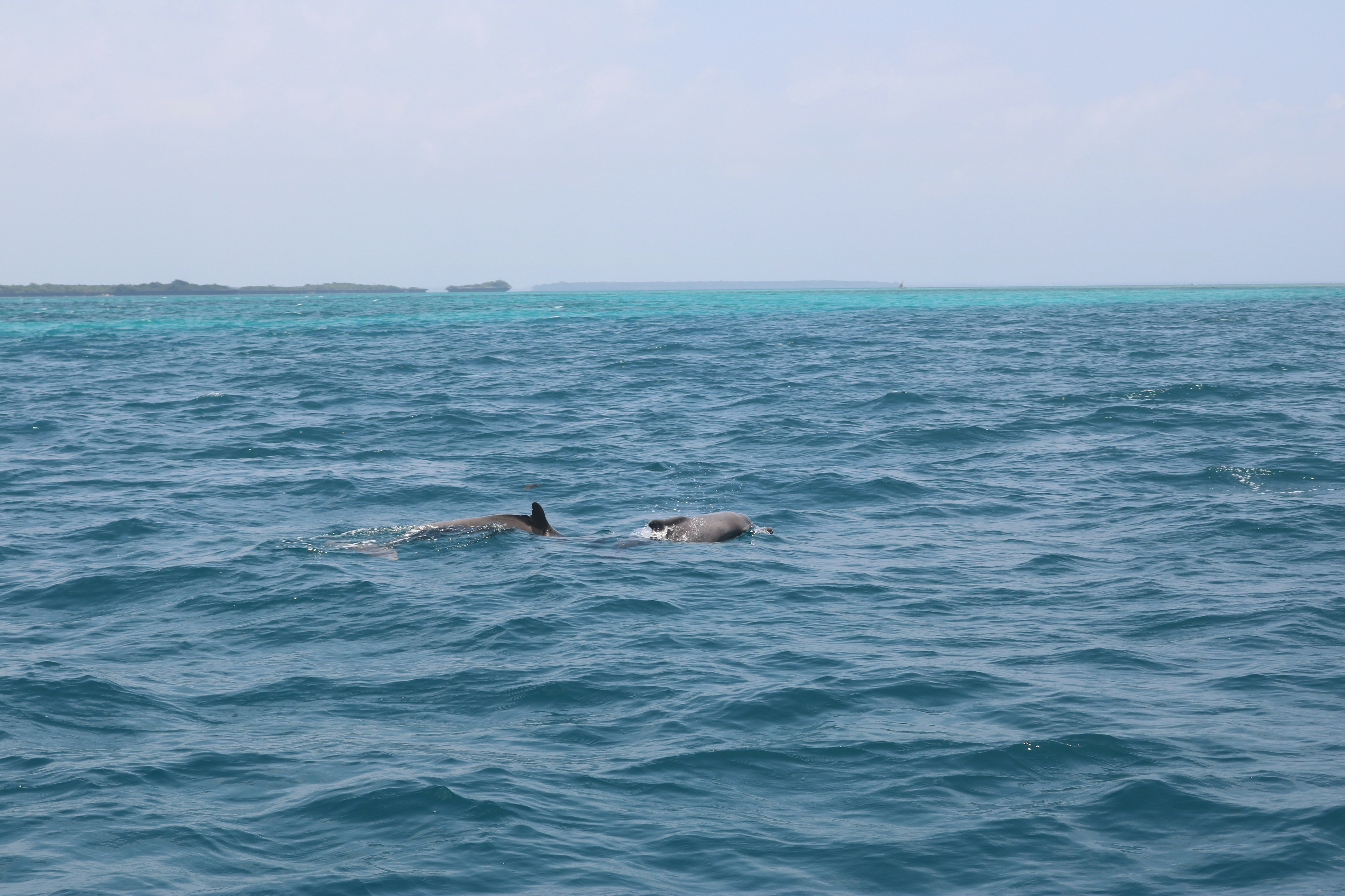 Photo by danaetsoutreli