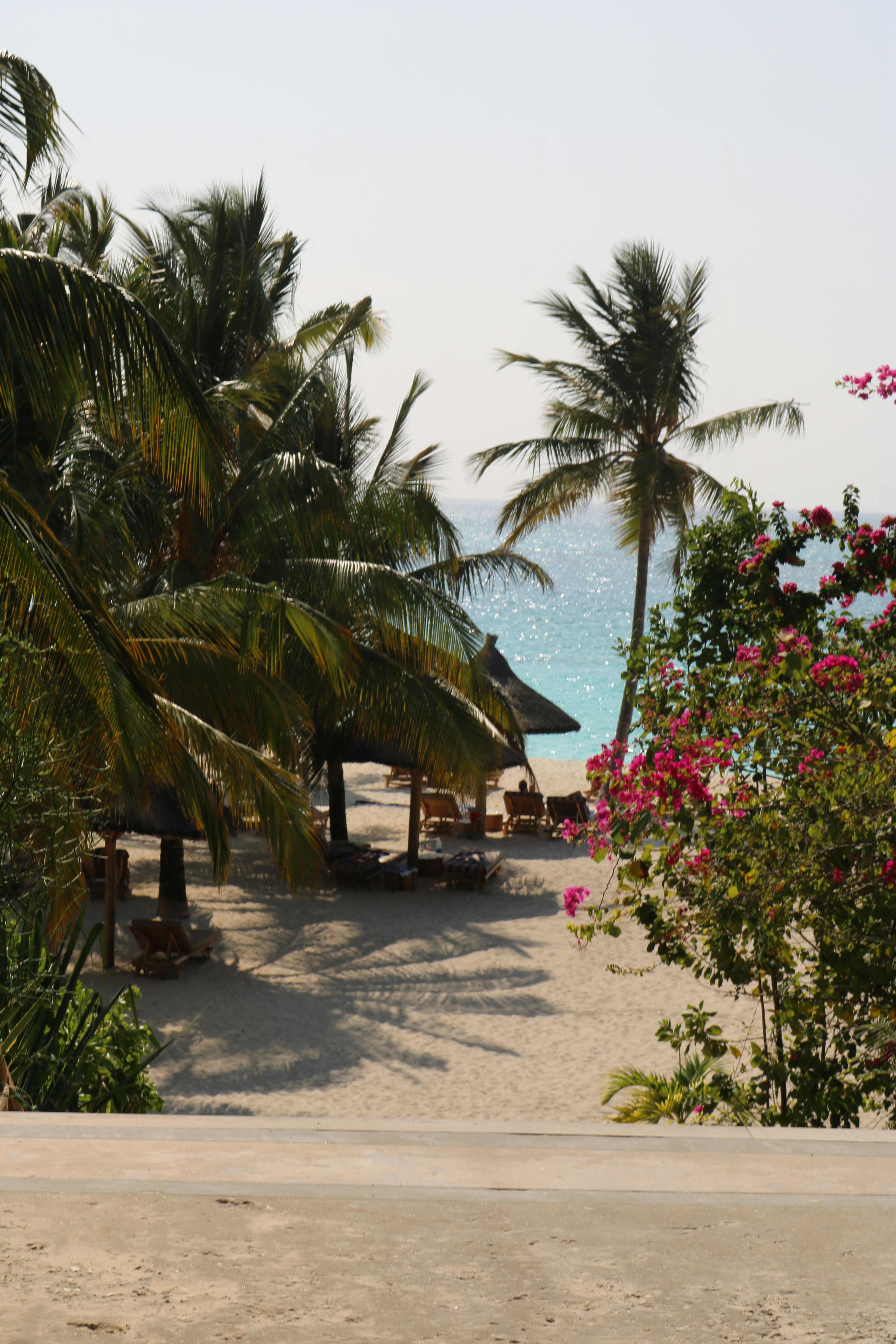 Photo by danaetsoutreli