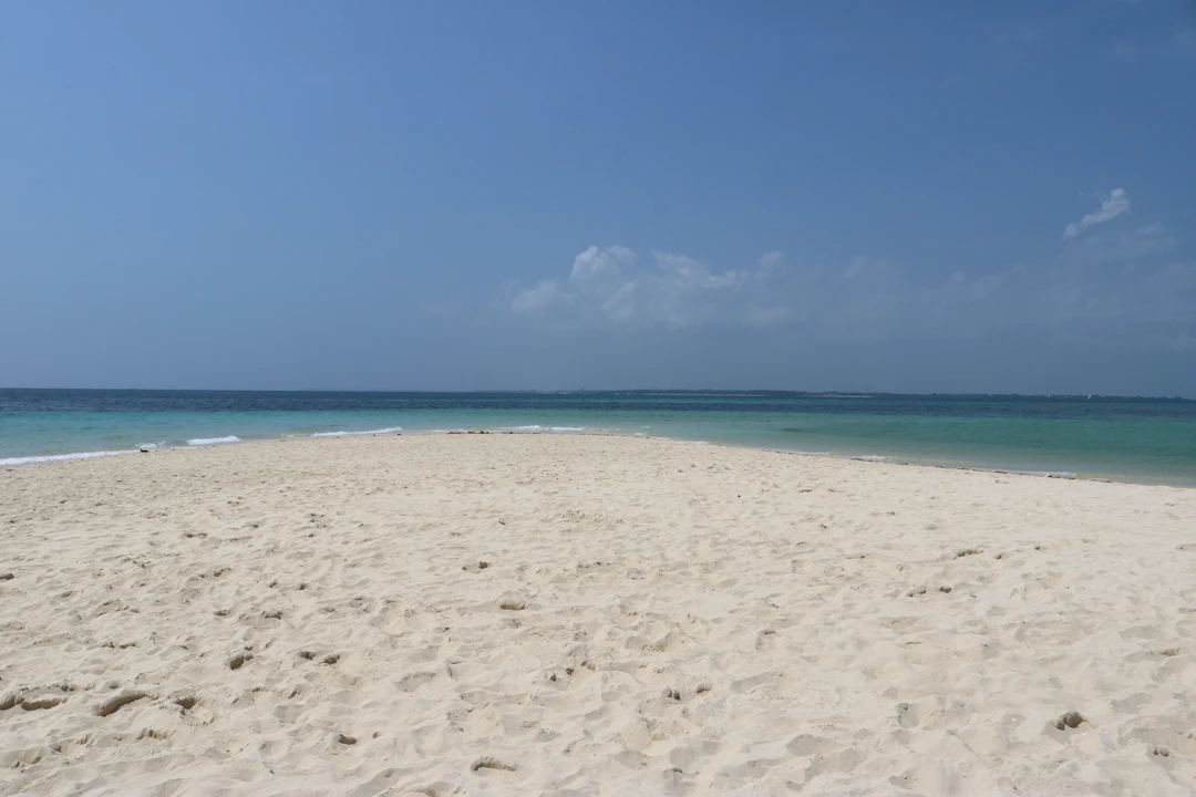 Family Travel Guide: 2 Days in Dar es Salaam