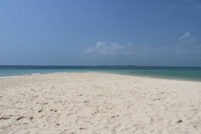 Family Travel Guide: 2 Days in Dar es Salaam