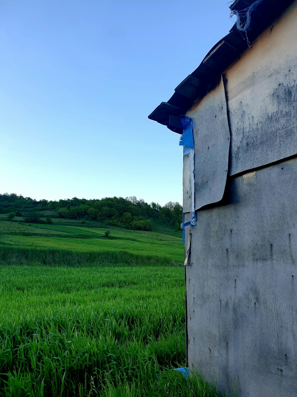 a view of a grassy field from behind a building