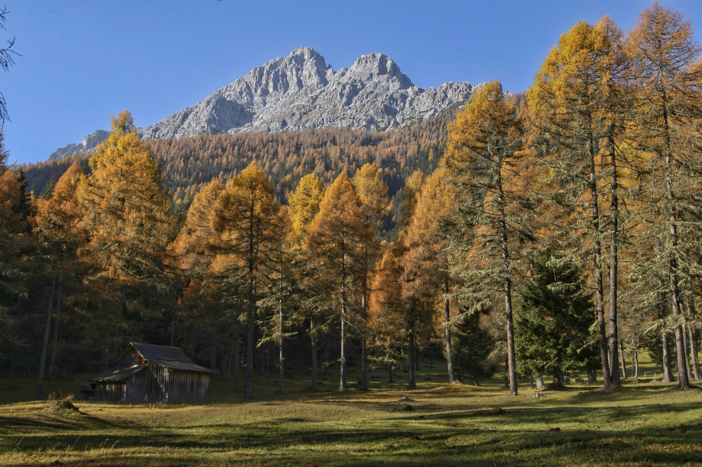 Photo by volkerrepke