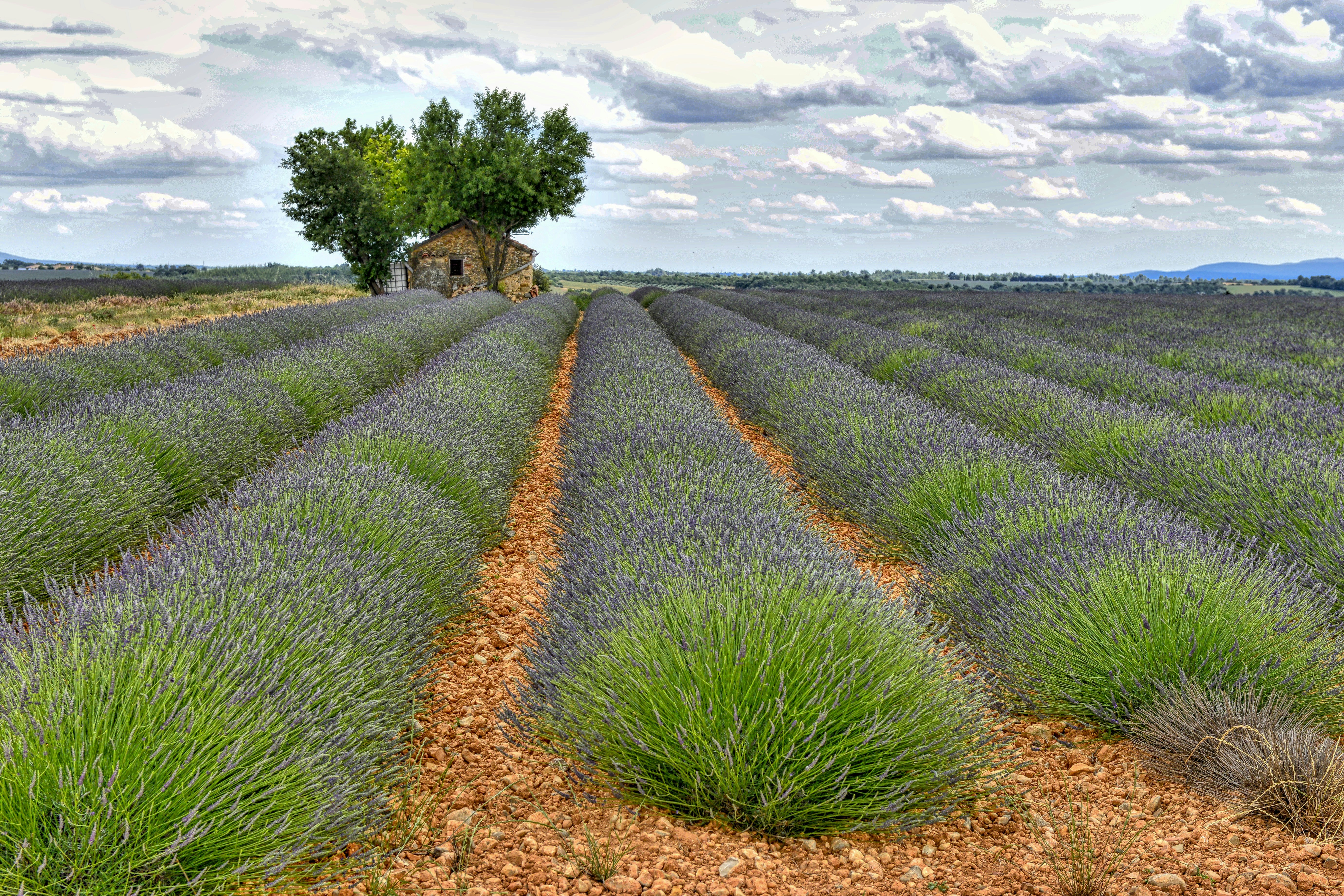 Photo by volkerrepke