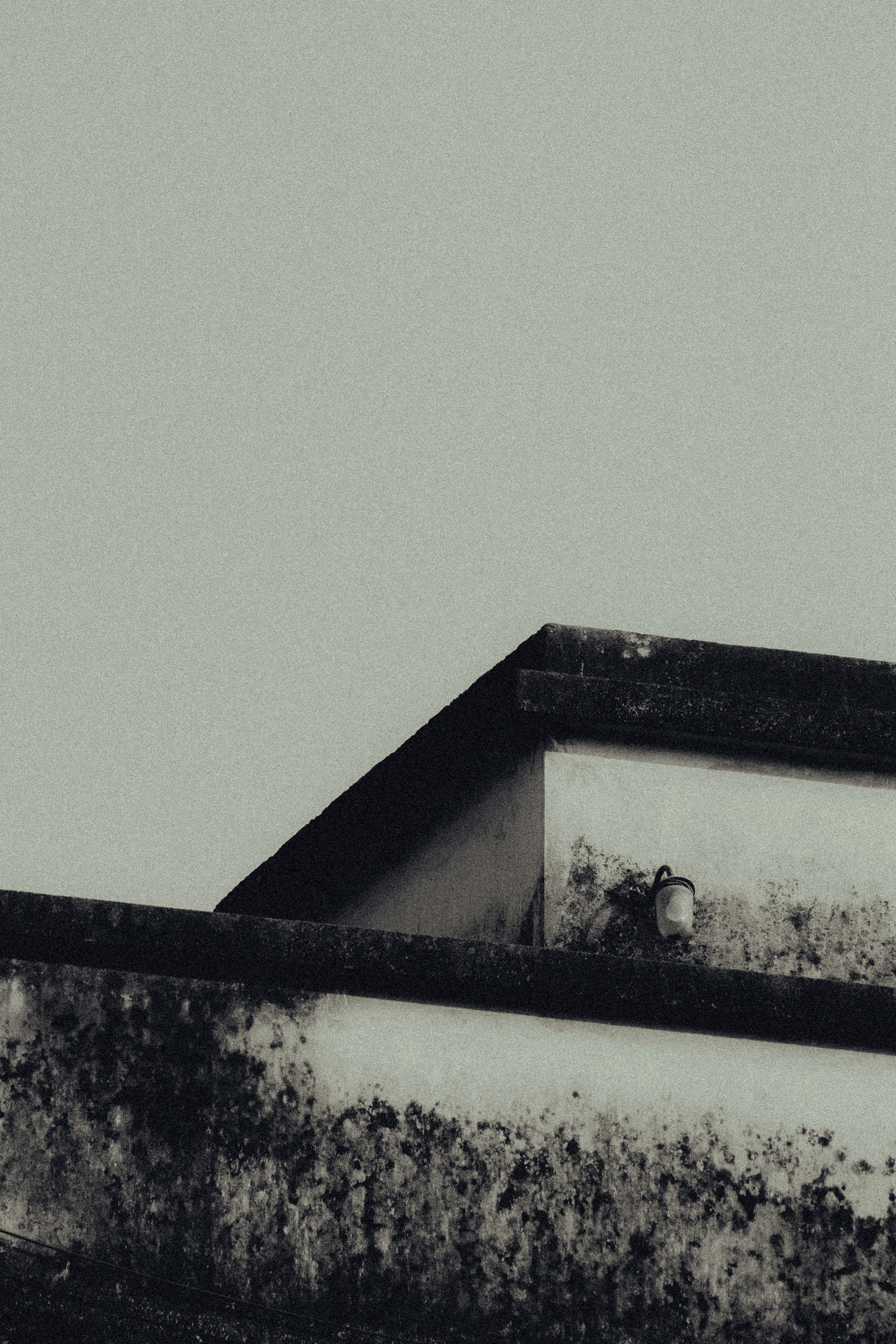 photo-1646670250281-13f60b34cc5b?ixid=M3wxMjA3fDB8MXxzZWFyY2h8MTl8fGhpZ2hzdGFrZXN3ZWVwc3xlbnwwfHx8fDE3NTc3NzYyNzl8MA\u0026ixlib=rb-4.1.0