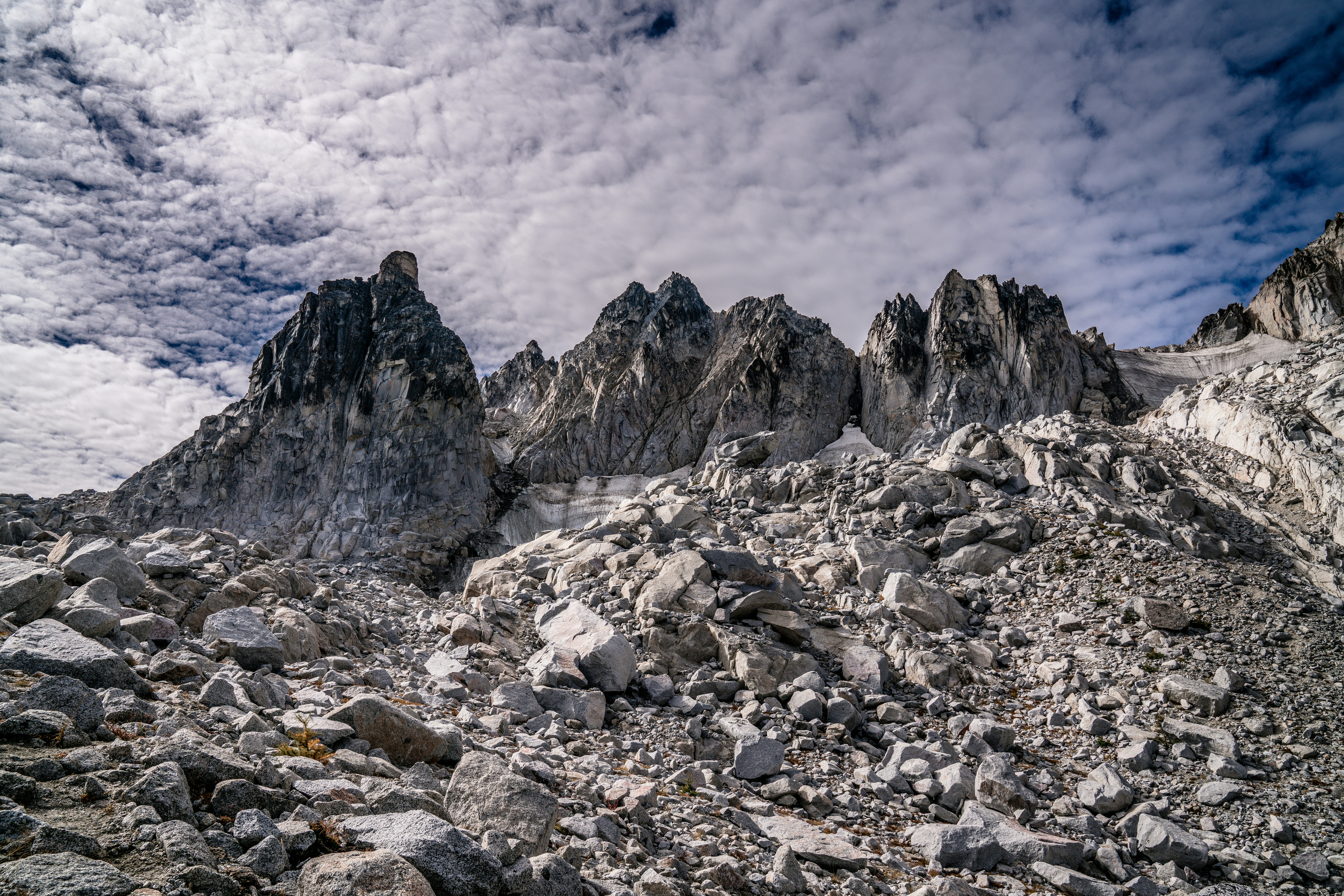 Photo by exoticsloth