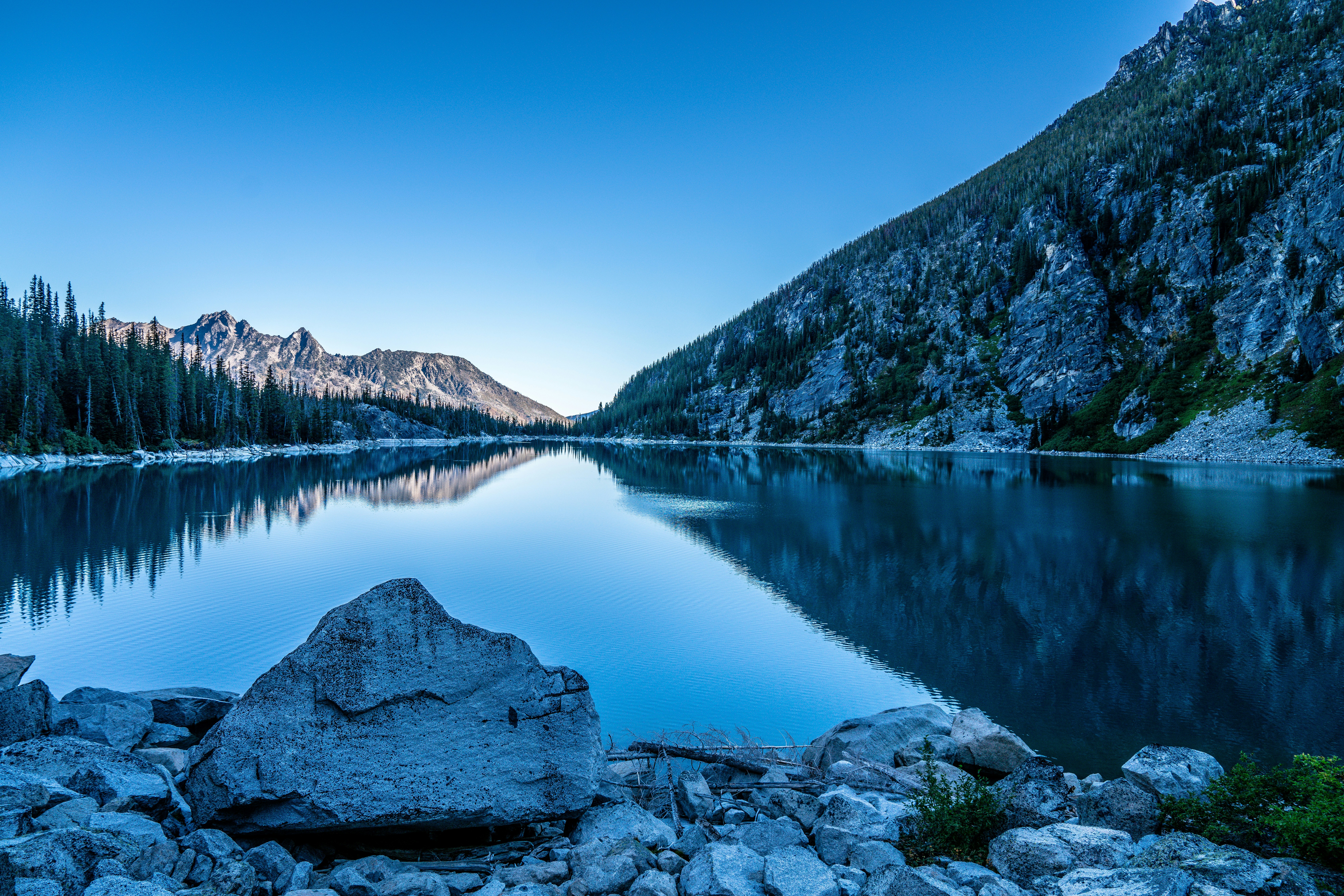 Photo by exoticsloth