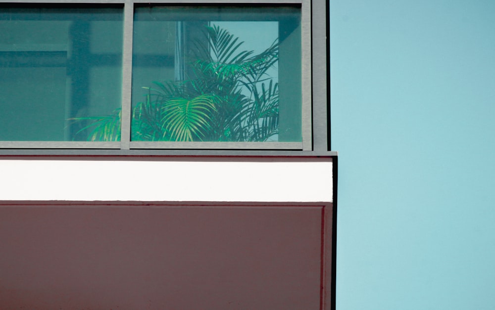 a window with a plant in the window sill